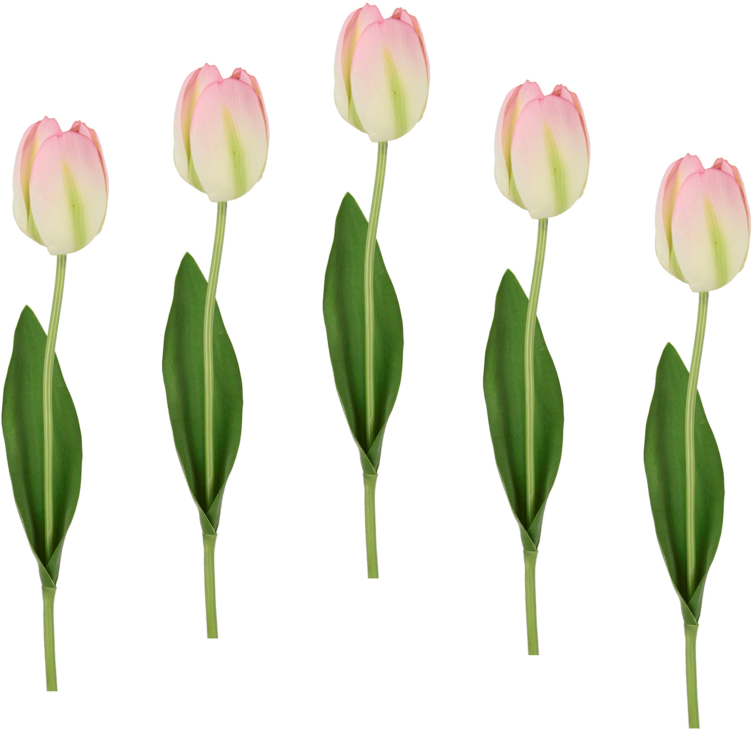 I.GE.A. Kunstblume Touch kaufen »Real Tulpen«, 5er Tulpenknospen, Raten Kunstblumen, Set auf künstliche Stielblume