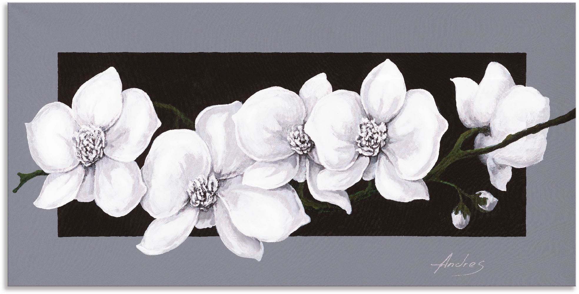 Artland Wandbild "Weiße Orchideen auf grau" Blumen 1 Stk. tlg. als Alubild, günstig online kaufen