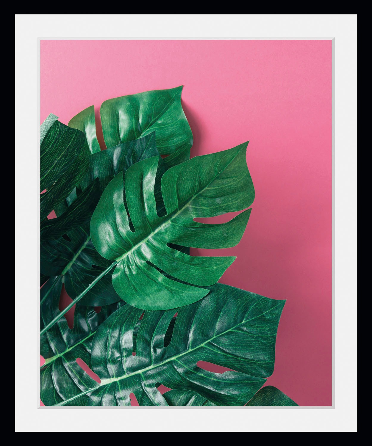 queence Bild »Human Nature« Blätter   Pflanzen   Pflanzenbilder 1 Stk. tlg. günstig online kaufen