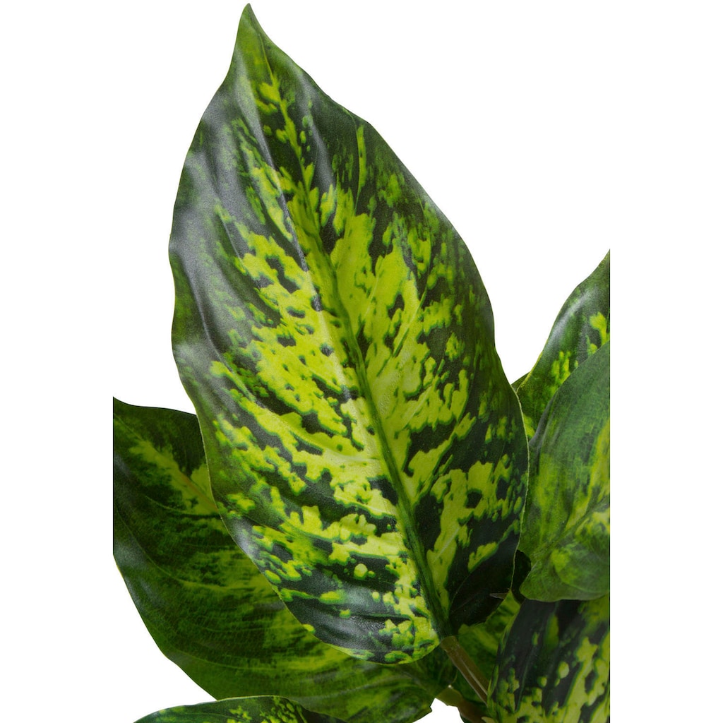 Botanic-Haus Künstliche Zimmerpflanze »Dieffenbachia Tropic«