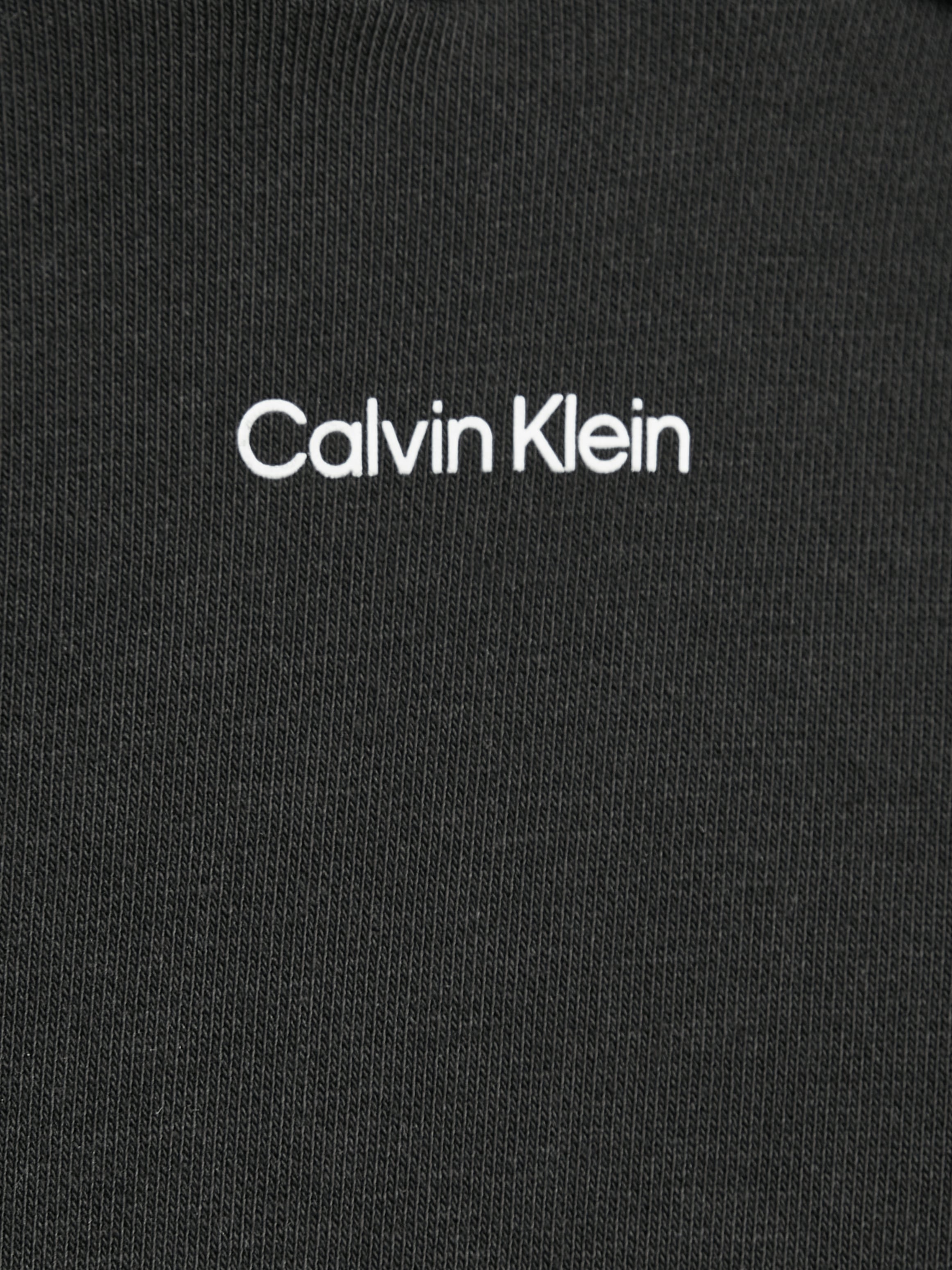 Calvin Klein Kapuzensweatshirt »NANO LOGO HOODIE«, mit Logoschritftzug