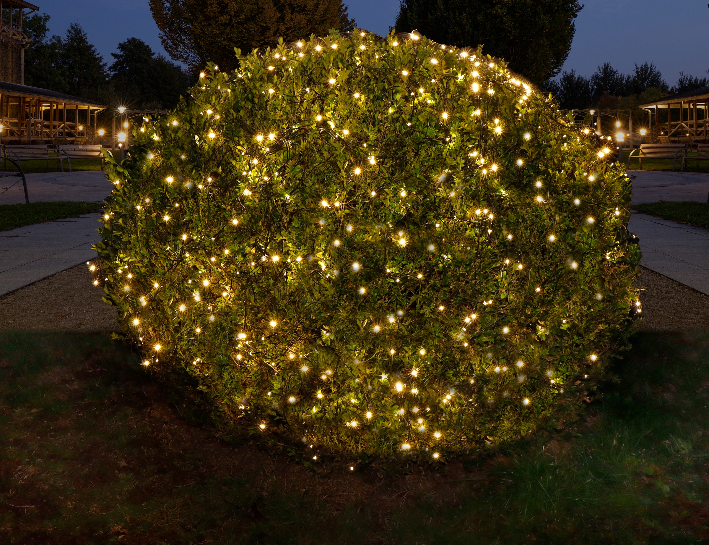 Star-Max LED-Lichternetz »Weihnachtsdeko aussen«, mit zahlreichen warmweißen LEDs, für den Außenbereich