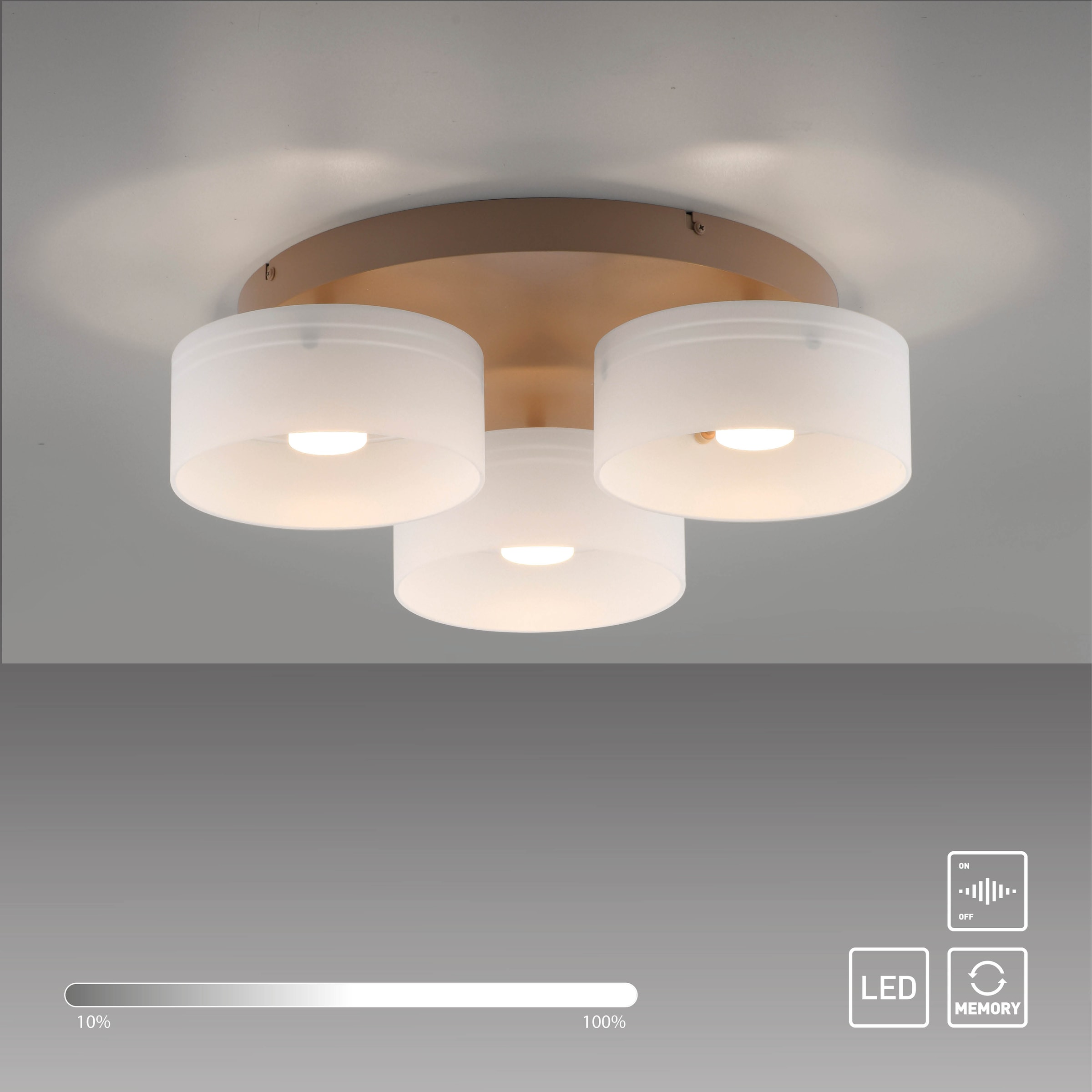 Paul Neuhaus LED Deckenleuchte »MARIKA« LED-Board 1 Stk. Warmweiß Stufenlos dimmbar über den Lichtschalter, Memoryfunktion, Opalgläser