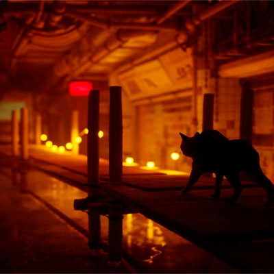 NBG Spielesoftware »Stray - Xbox«, Xbox Series X