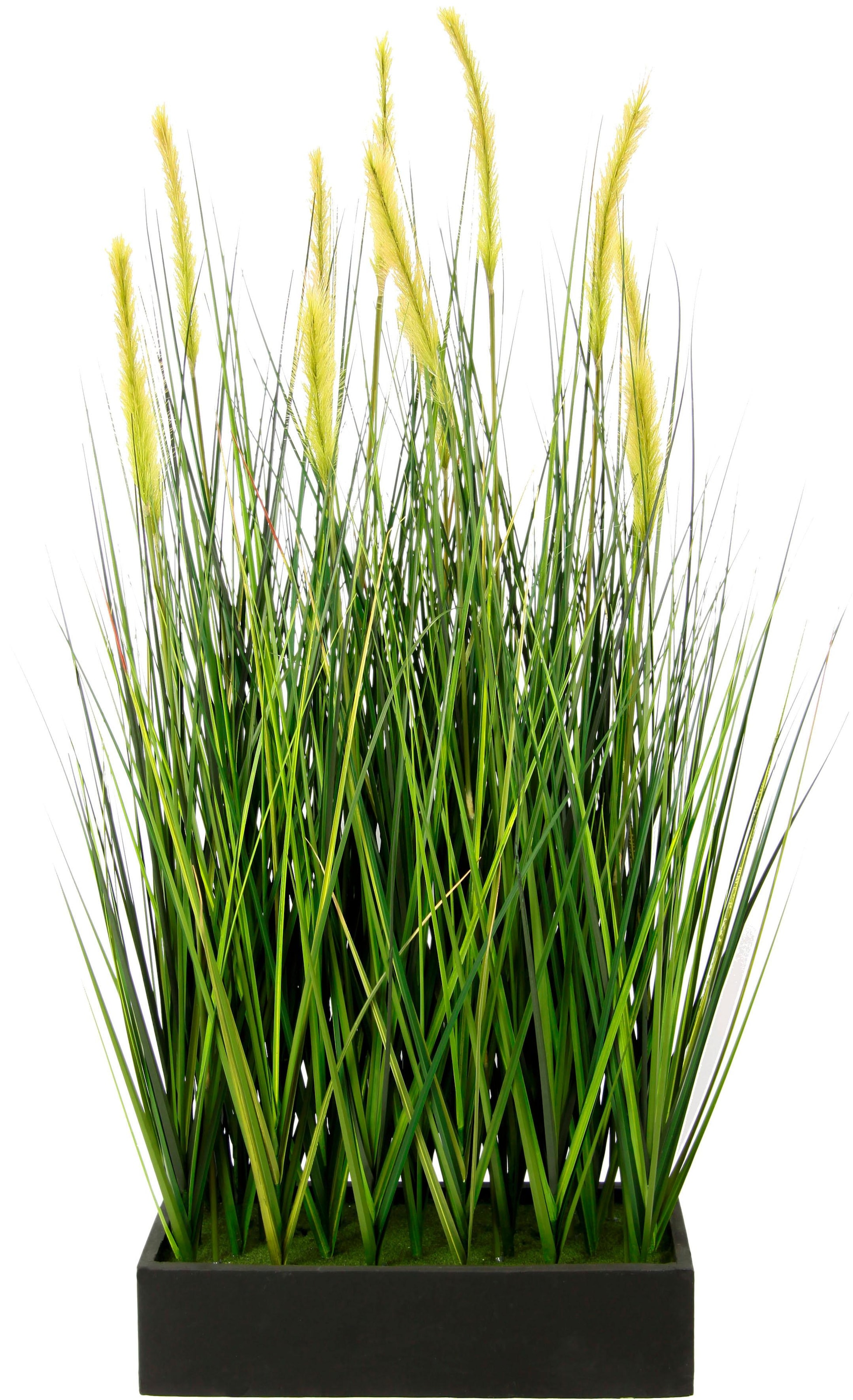 I.GE.A. Kunstpflanze »Fuchsschwanzgras im Topf« günstig online kaufen