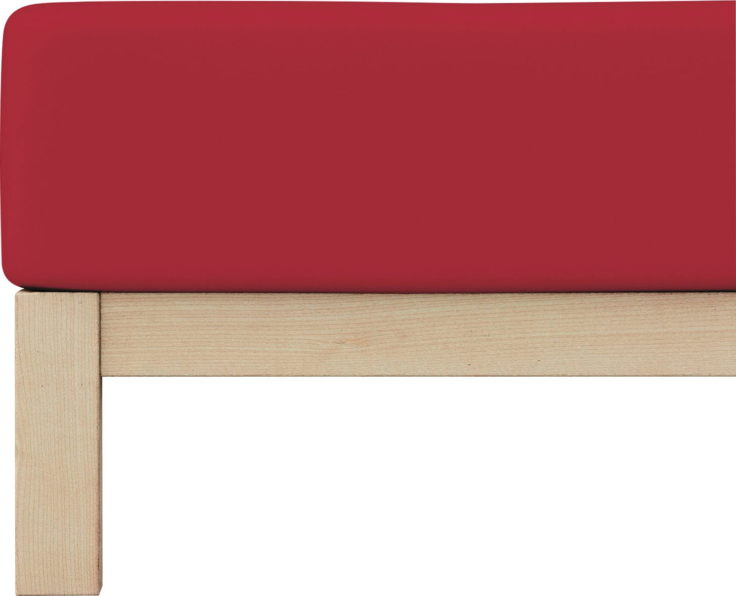 Schlafgut Spannbettlaken »PURE Bio-Baumwolle mit Elasthan, dehnbar blickdic günstig online kaufen