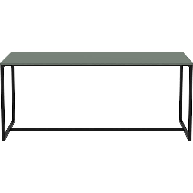 Tenzo Esstisch »LIPP«, Design von Tenzo Design studio, Breite 180 cm auf  Rechnung bestellen
