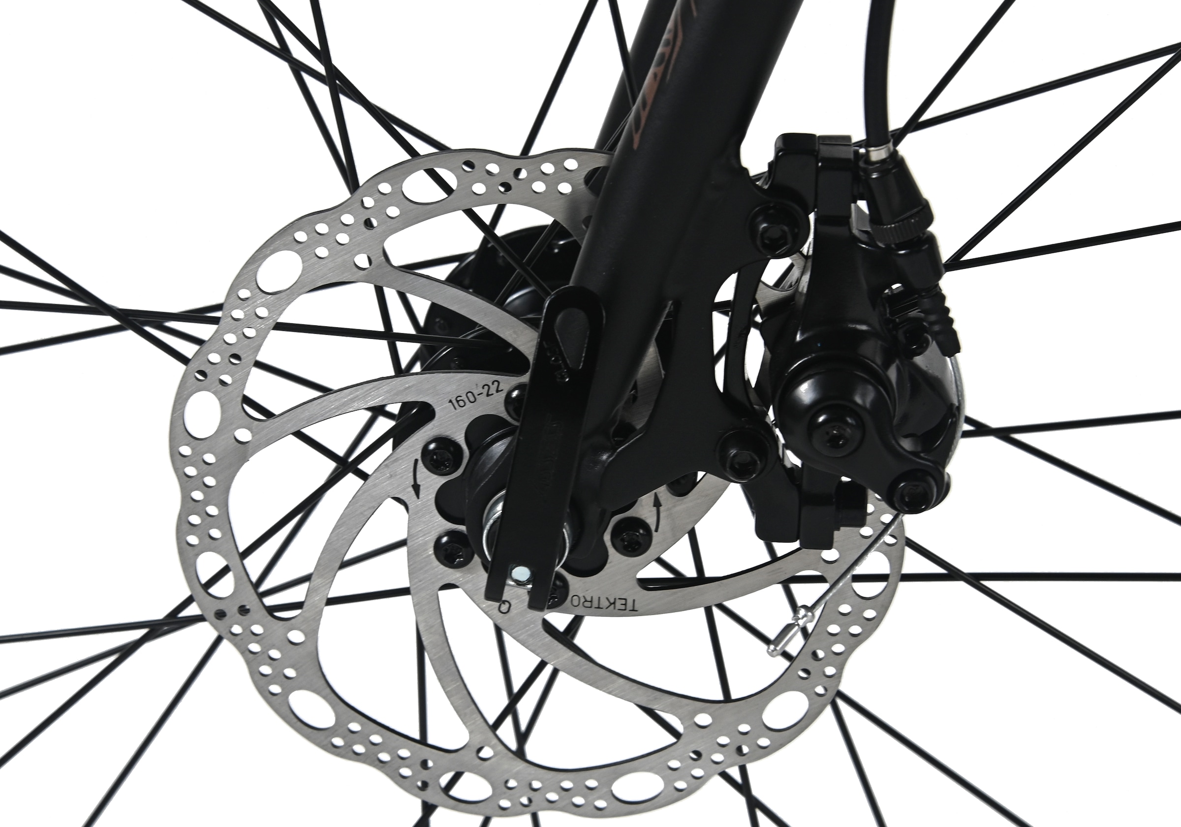 WYLD Gravelbike »WYLD Gravelbike 28'' Turin Grau 16 Gänge RH 56 cm« 16 Gang Kettenschaltung