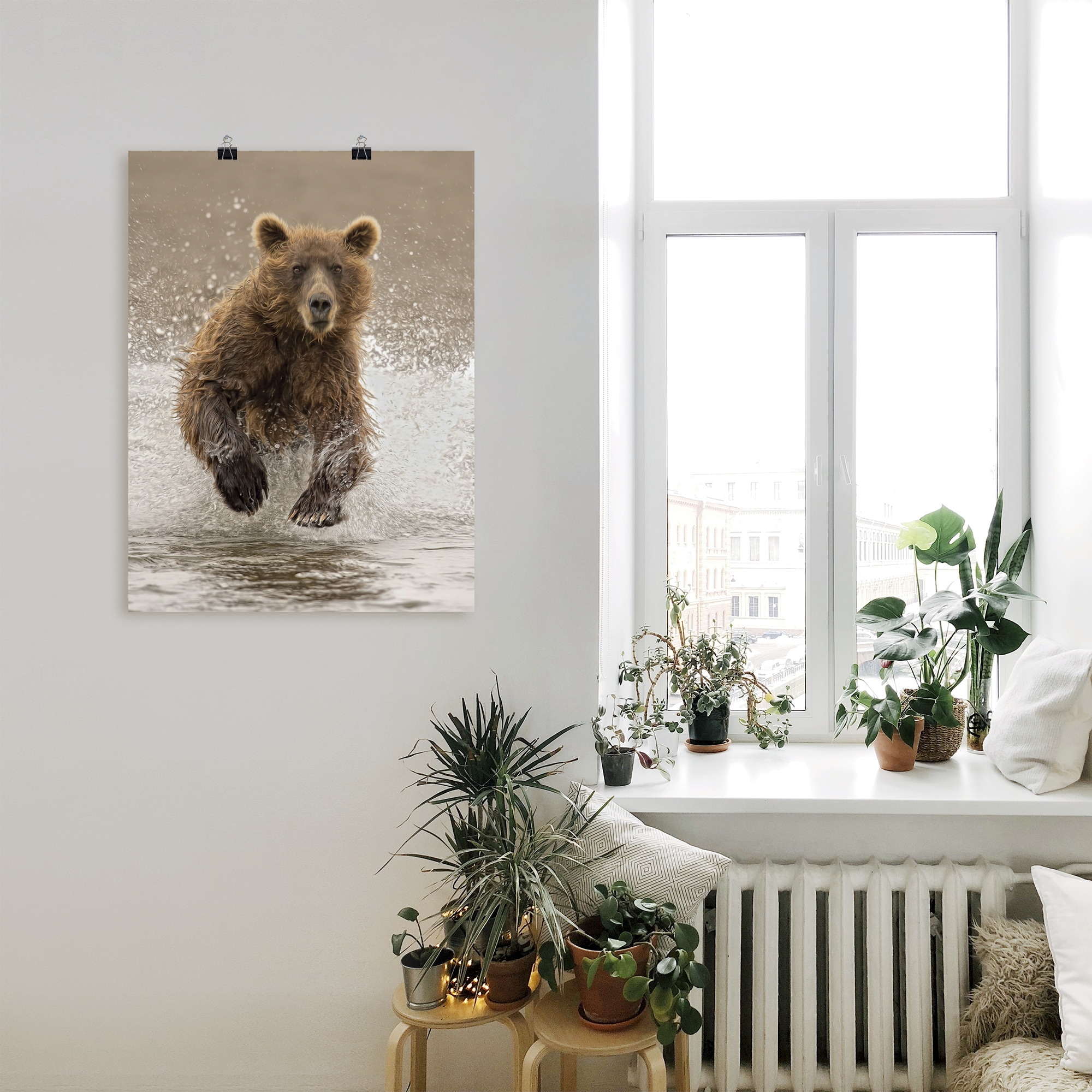 Artland Poster »Bären beim Spielen II«, Wildtiere, (1 St.), als Alubild, Leinwandbild, Wandaufkleber oder Poster in versch. Größen