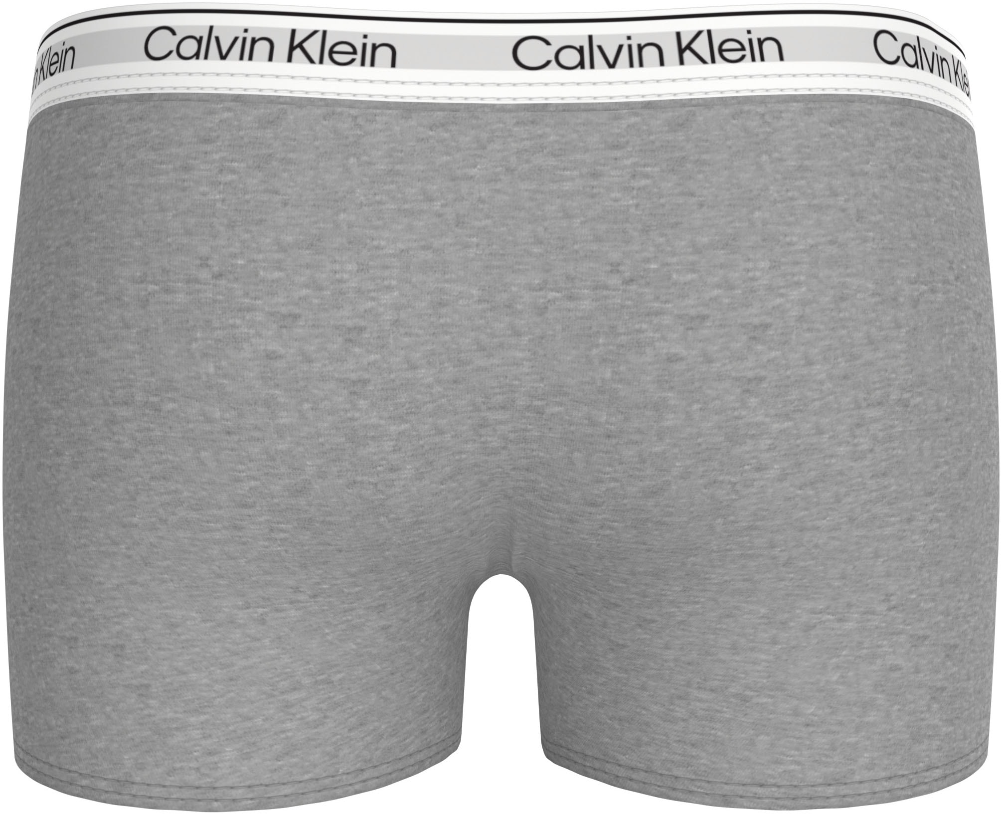 Calvin Klein Underwear Trunk »2PK TRUNK«, (Packung, 2er-Pack), für Kinder bis 16 Jahre, mit Logo-Elastikbund