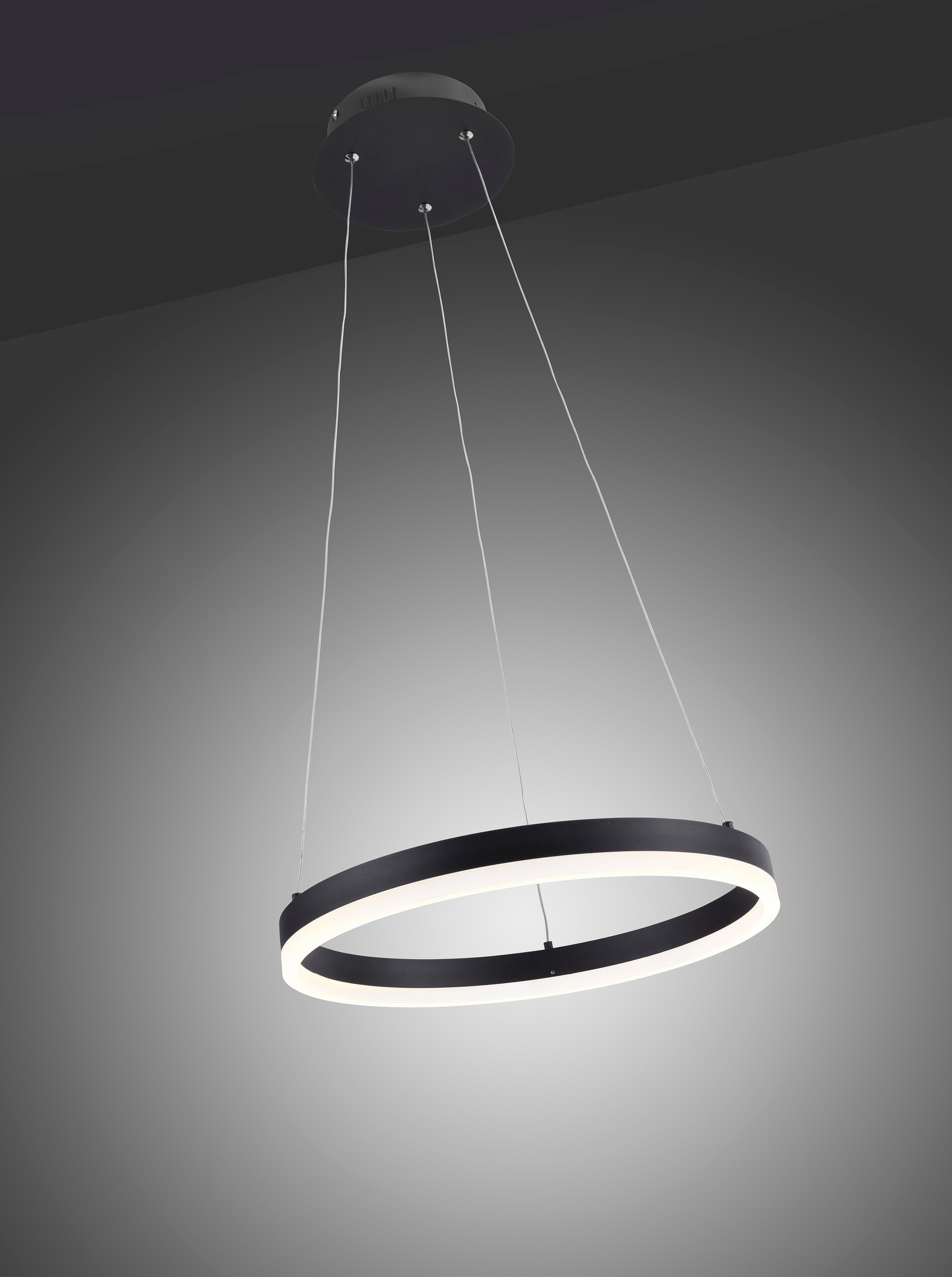 Paul Neuhaus LED Pendelleuchte »TITUS«, 1 flammig, Leuchtmittel LED-Board günstig online kaufen