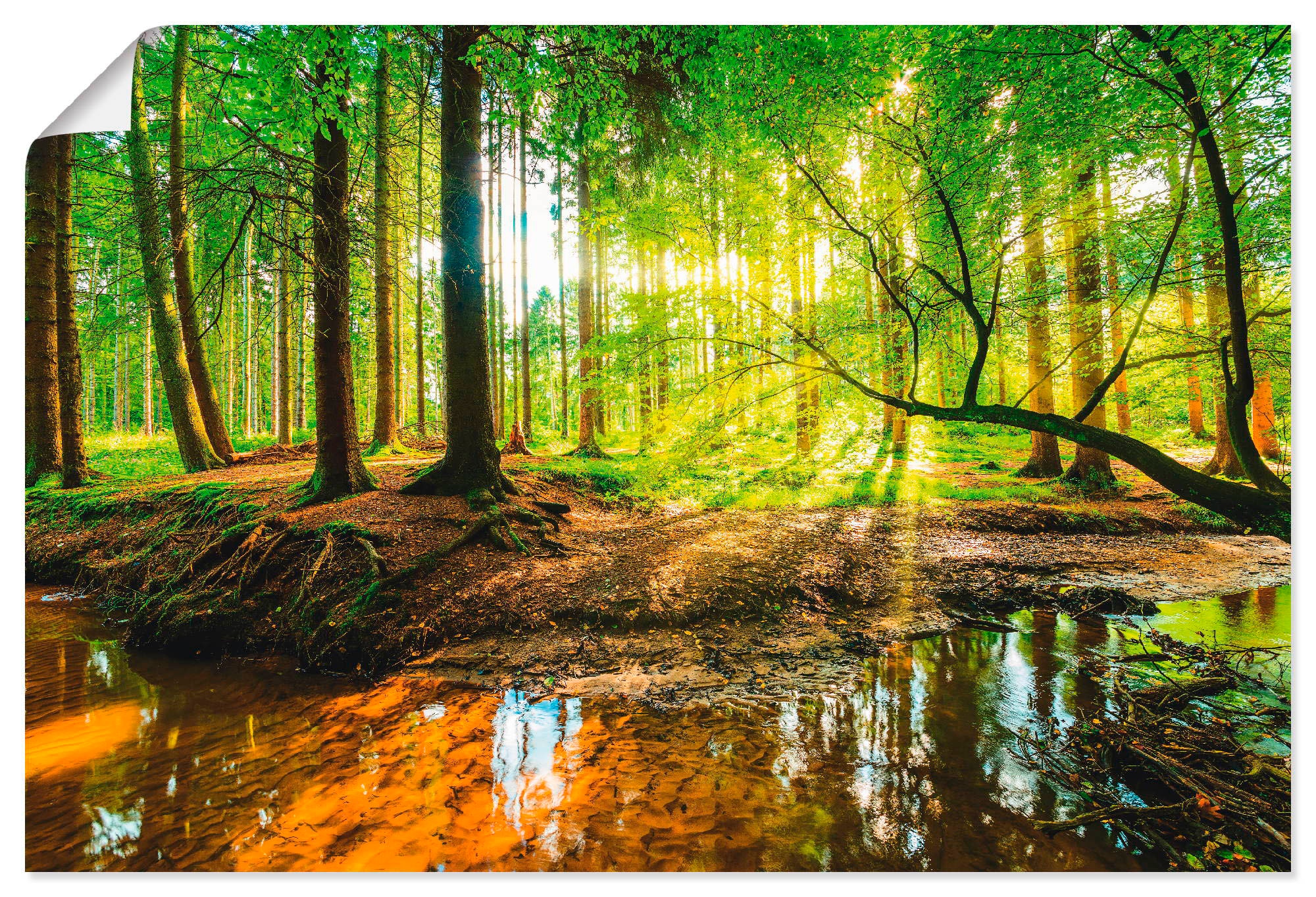 Artland Wandbild »Wald mit Bach«, Wald, (1 St.), als Alubild, Leinwandbild,  Wandaufkleber oder Poster in versch. Größen online kaufen