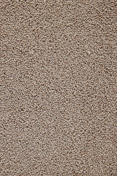 Andiamo Teppichboden »Rubino«, rechteckig, Breite 400 cm oder 500 cm, strap günstig online kaufen