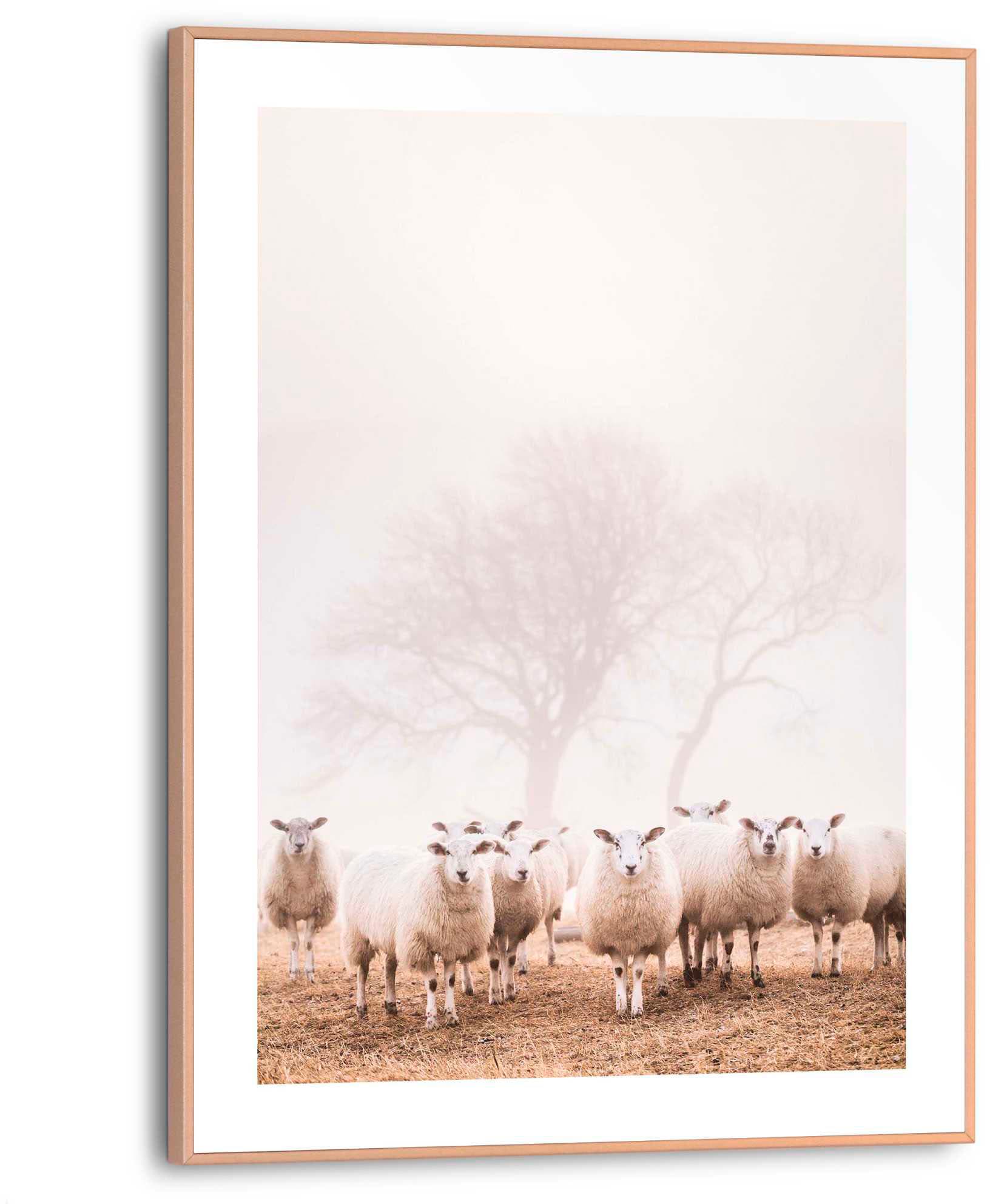 Reinders! Poster »Schafe im Nebel« online bestellen