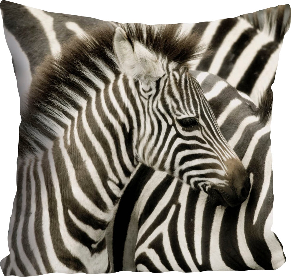queence Dekokissen »Richard«, Kissenhülle,Zebras,Schwarz-Weiß,Tiere,Streife günstig online kaufen