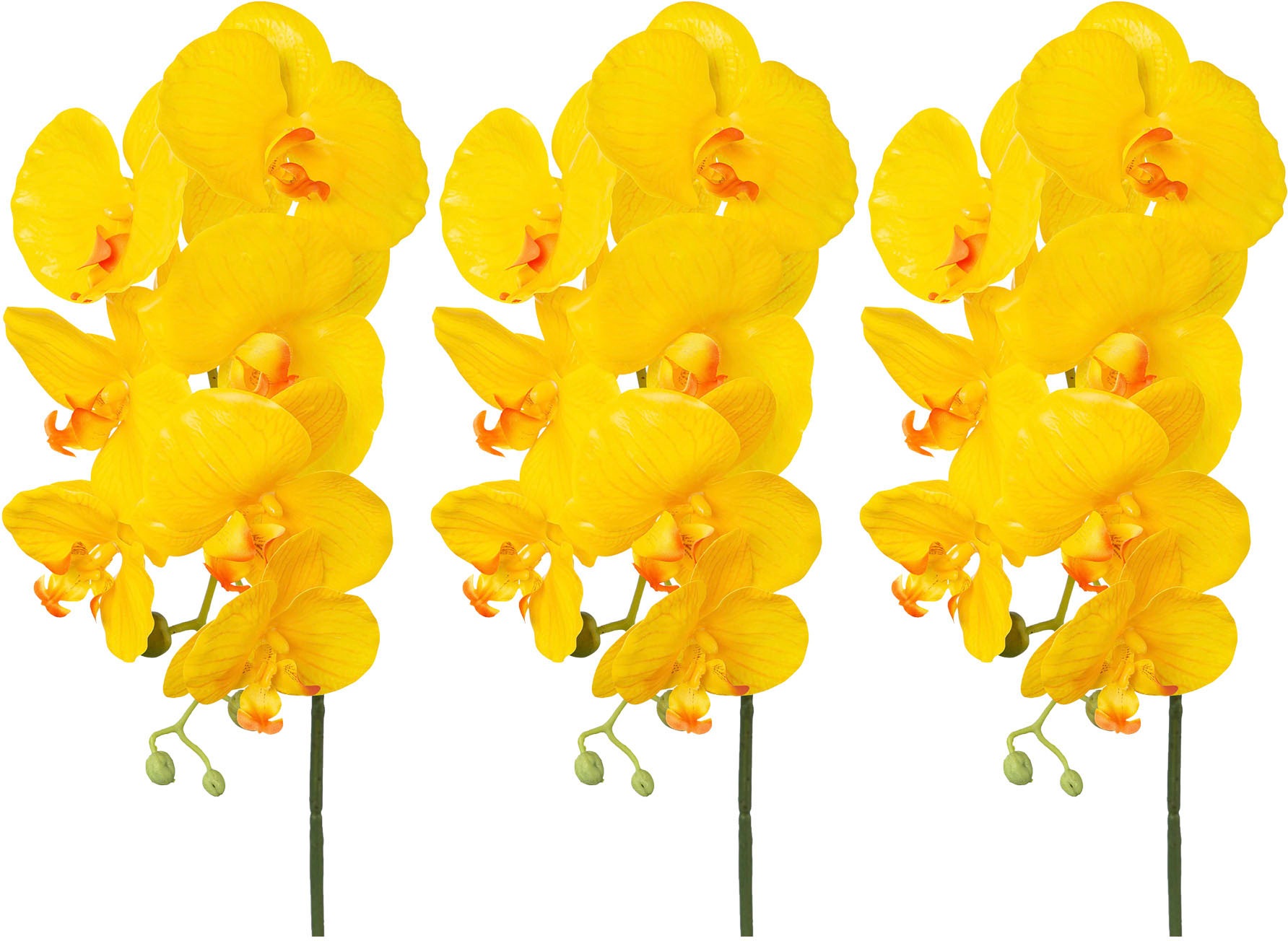 Creativ green Kunstorchidee »Orchidee Phalaenopsis«, mit real-touch-Blüten