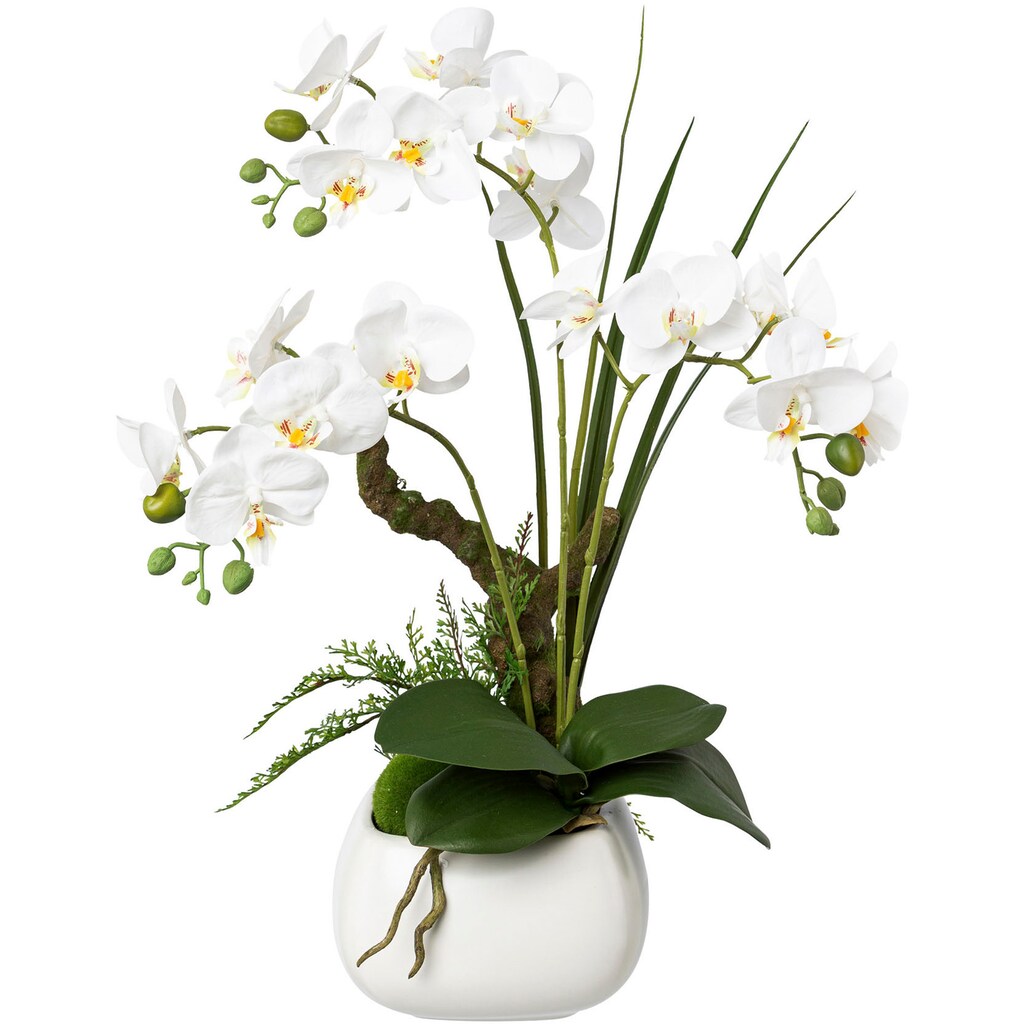 Creativ green Kunstorchidee »Deko-Orchidee Phalaenopsis im Keramiktopf«