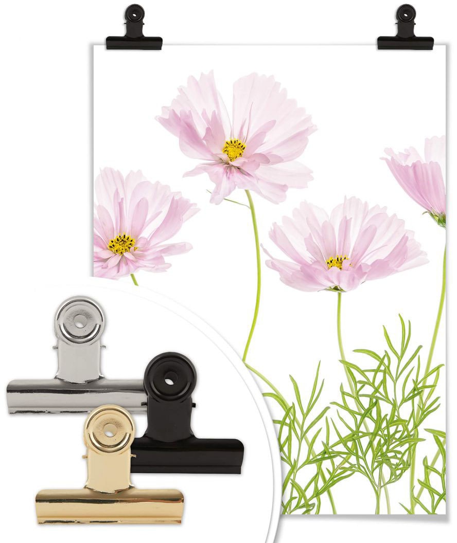 Wall-Art Poster bestellen St.) »Sommerblume«, Blumen, Raten auf (1