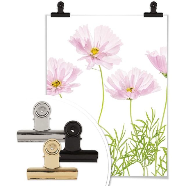 Wall-Art Poster »Sommerblume«, Blumen, (1 St.) auf Raten bestellen