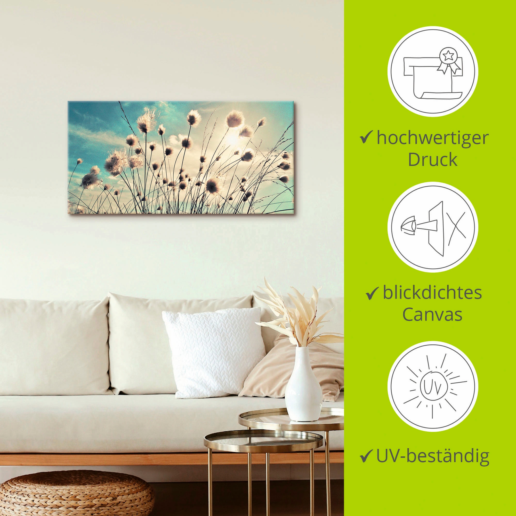 Artland Wandbild »Wollgras«, Gräser, (1 St.), als Alubild, Outdoorbild, Leinwandbild, Poster, Wandaufkleber