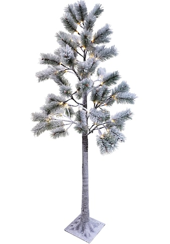 NOOR LIVING Dekolicht »LED Kieferbaum mit Schnee«, Warmweiß, mit 72 LEDs, für den... kaufen