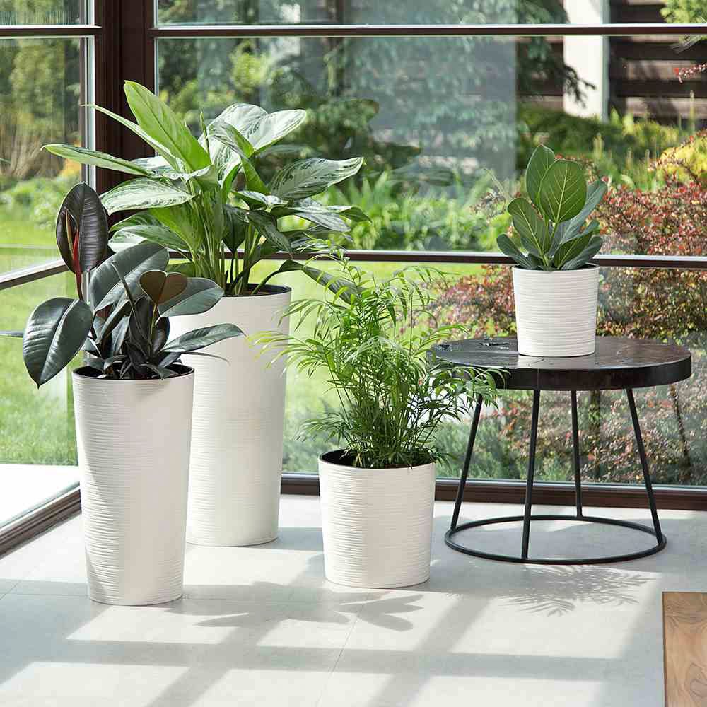 Siena Garden Pflanzkübel Rillenoptik, rund