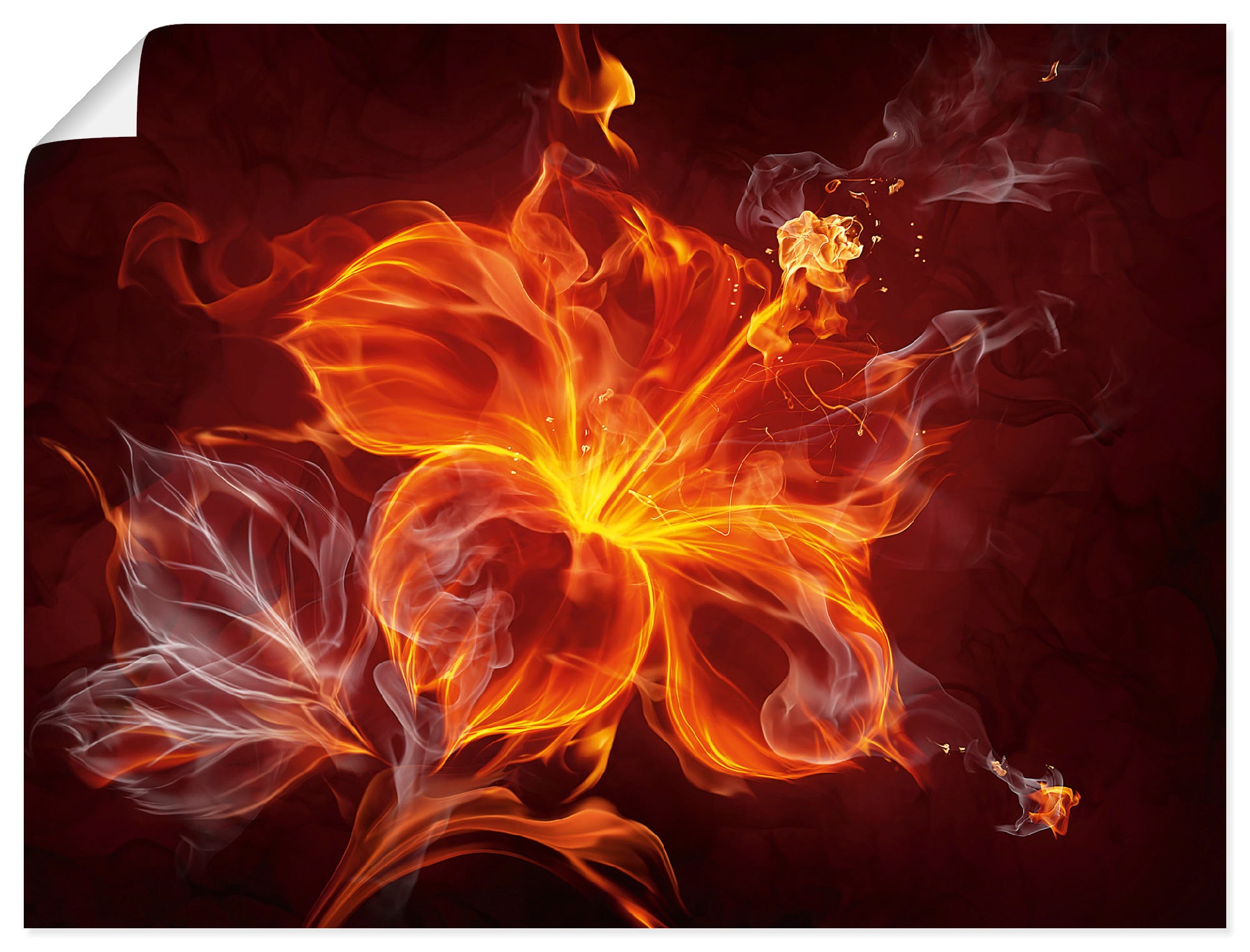 Artland Wandbild »Feuerblume« 1 Stk. tlg. als Leinwandbild, Poster, Wandauf günstig online kaufen