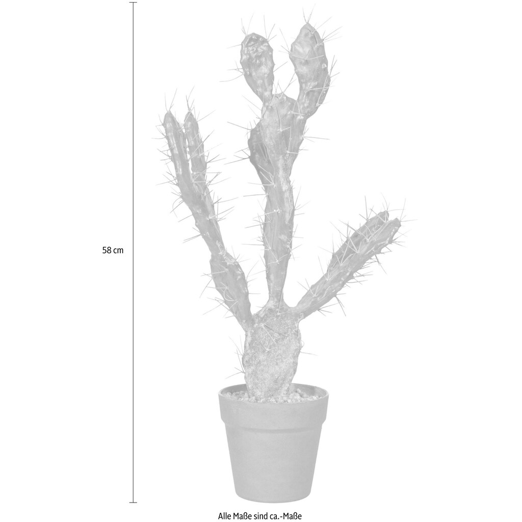Creativ green Kunstpflanze »Kaktus Opuntie«