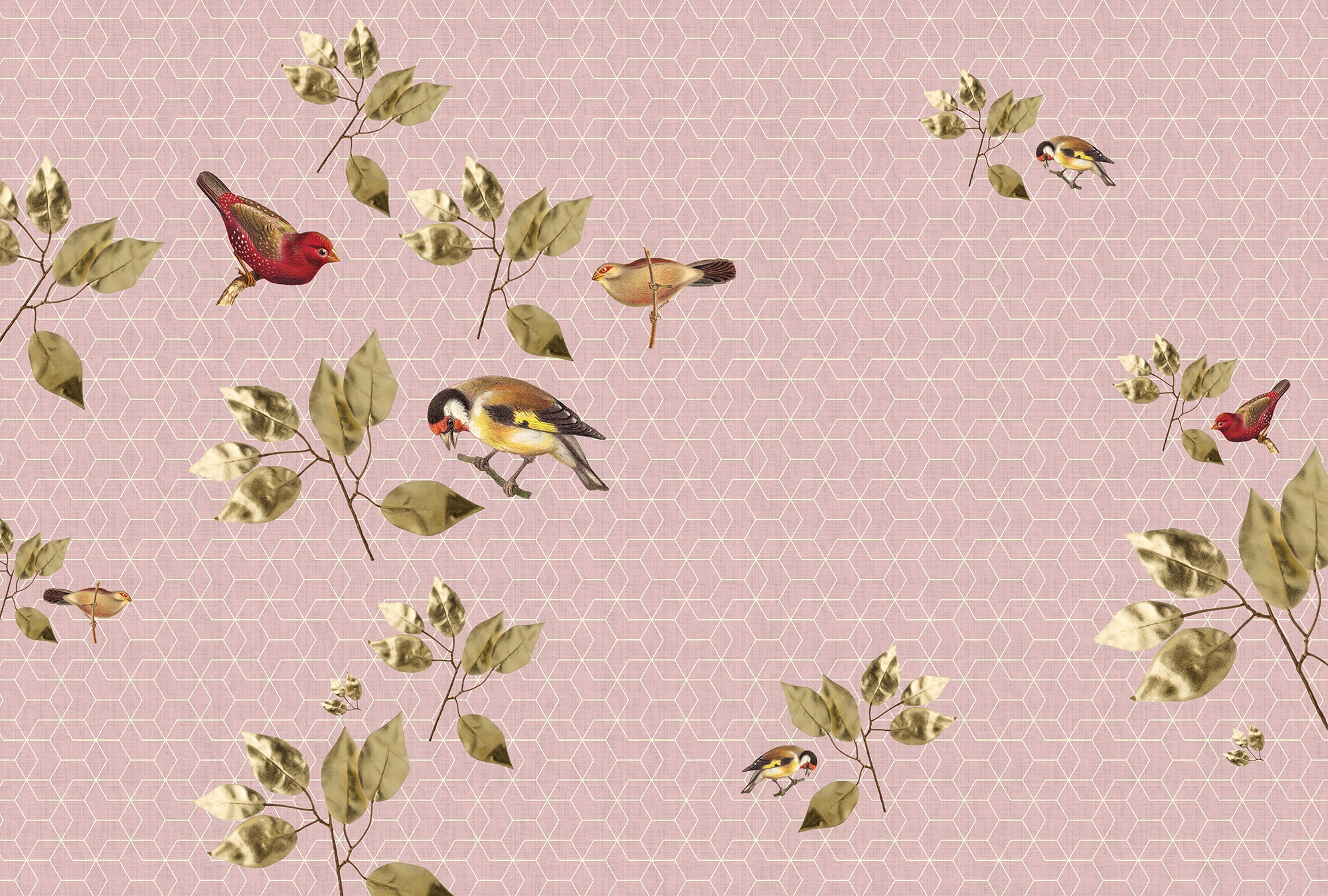 LIVING WALLS Fototapete »Walls by Patel Brilliant Birds 1« glatt Vlies, Wand, Schräge rot B/L: 4 m m x 2,7 m m