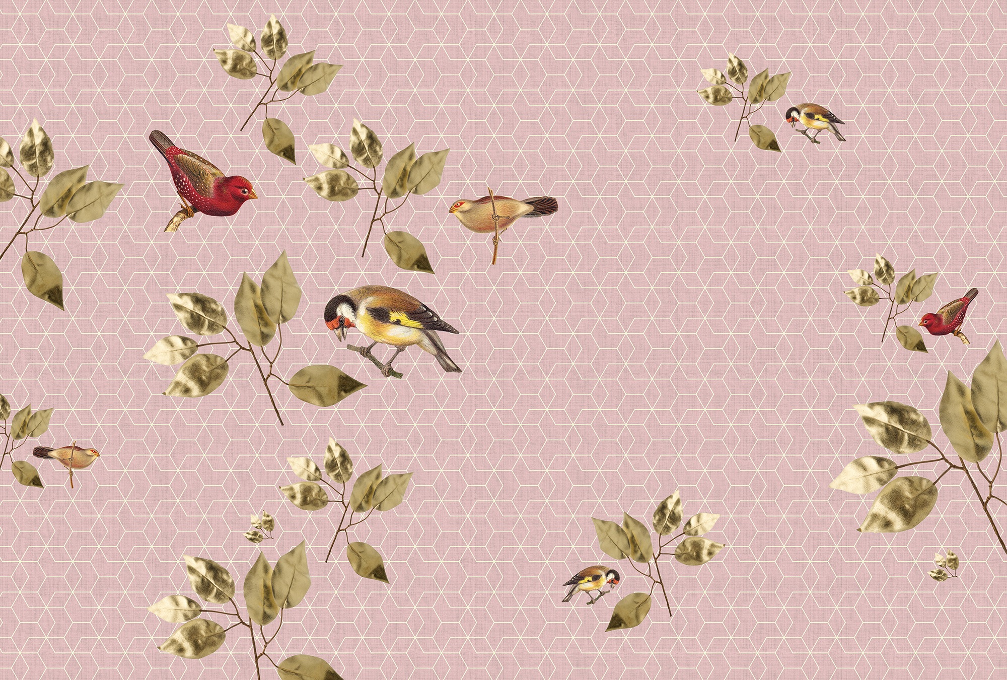 living walls Fototapete »Walls by Patel Brilliant Birds 1«, Vlies, Wand, Sc günstig online kaufen