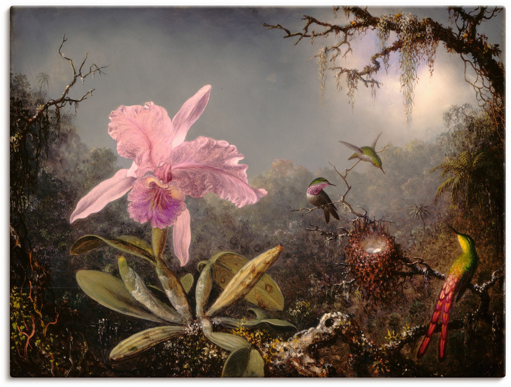 Artland Wandbild »Cattleya Orchidee und drei Kolibris.« Blumenbilder 1 Stk. günstig online kaufen