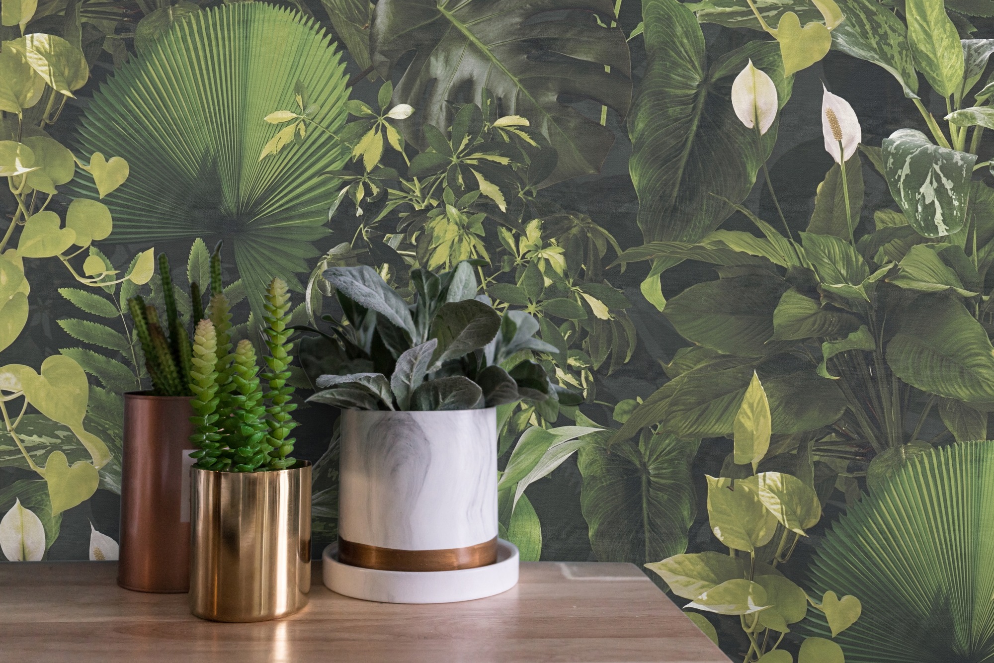 A.S. Création Vliestapete »PintWalls II Dschungel-Tapete Mustertapete Pflanzen Natur«, matt, Vliestapete floral für Schlafzimmer Küche Wohnzimmer Dschungel Design