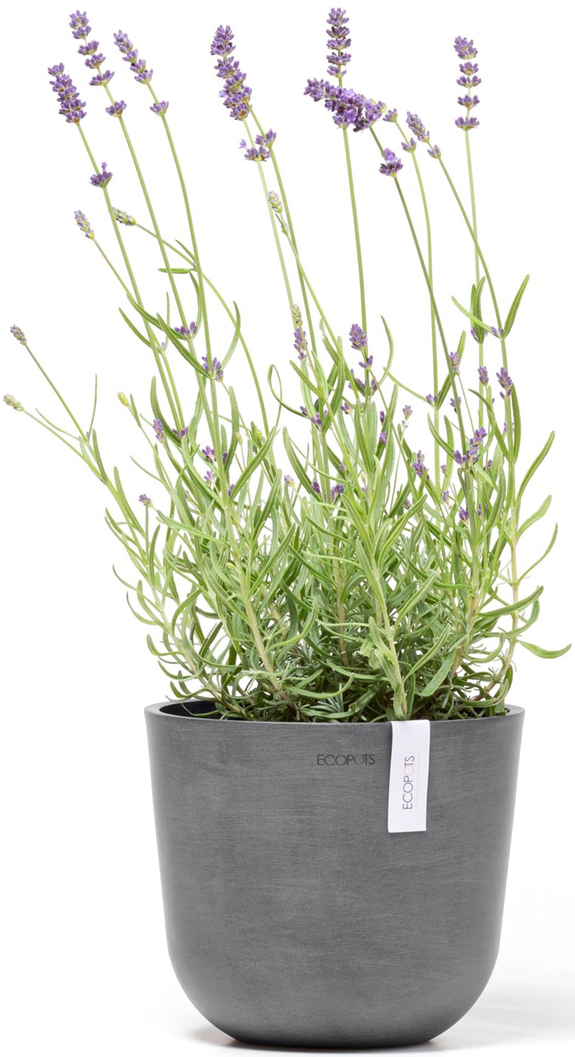 ECOPOTS Blumentopf »Oslo Mini 19 Grau«, für den Innenbereich