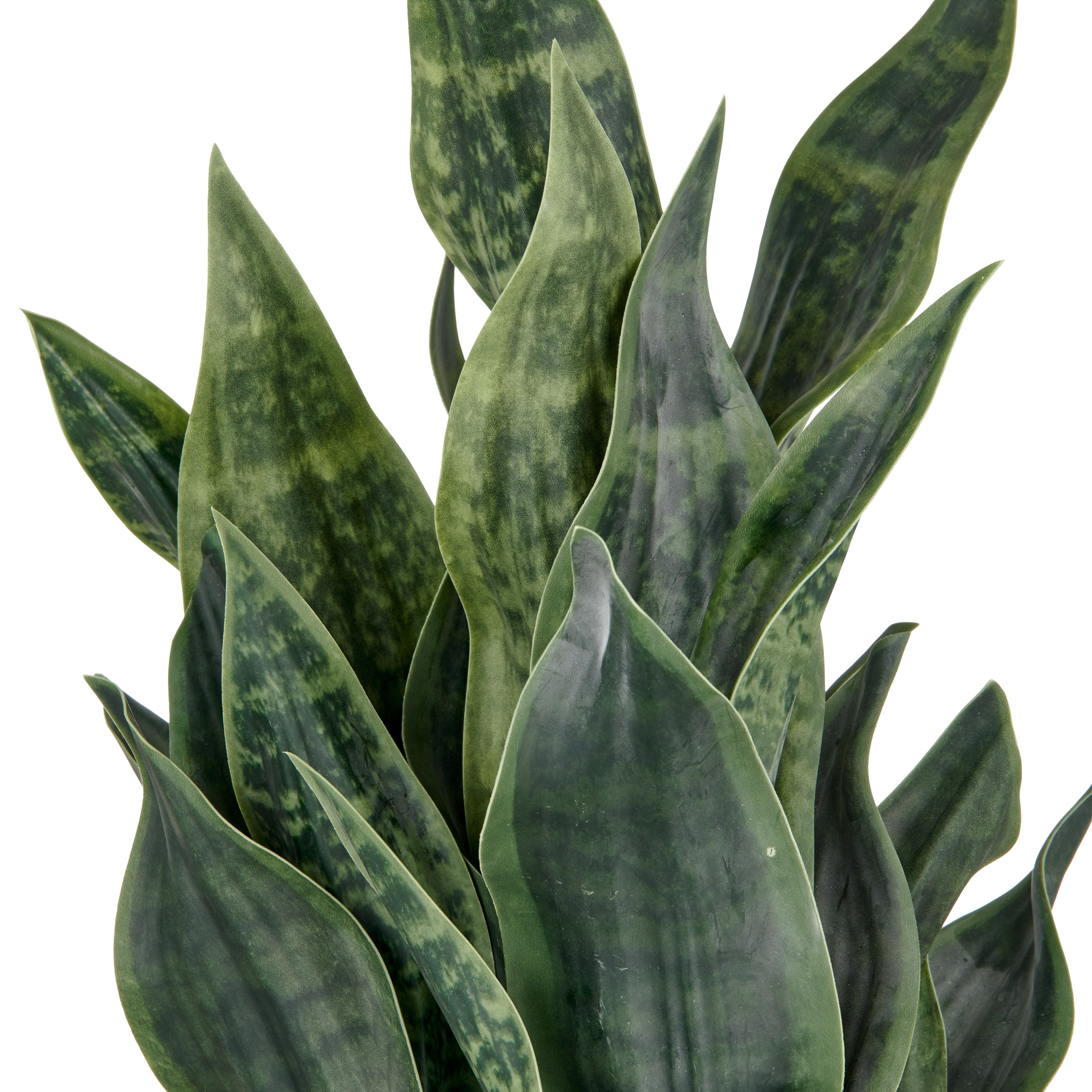 Creativ green Kunstpflanze »Sanseveria Grey Stripe« im eleganten Pflanzgefäß