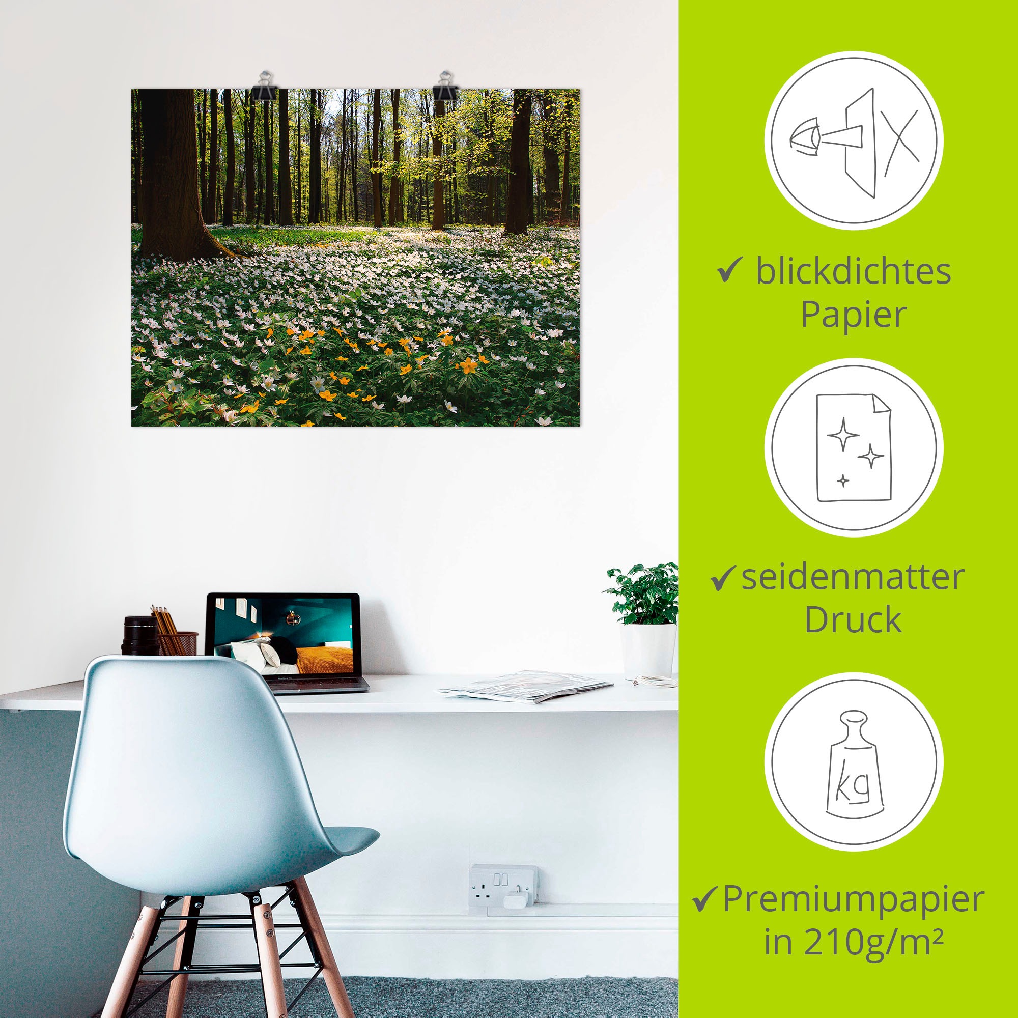 Artland »Frühlingswald bedeckt mit Windröschen« Wald 1 Stk. tlg. als Leinwandbild, Poster in verschied. Größen