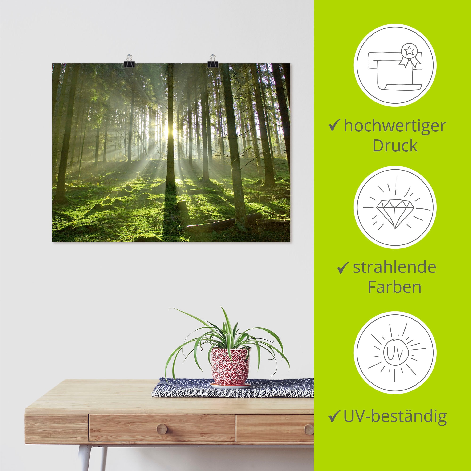Artland Wandbild »Wald im Gegenlicht«, Wald, (1 St.), als Leinwandbild, Poster in verschied. Größen