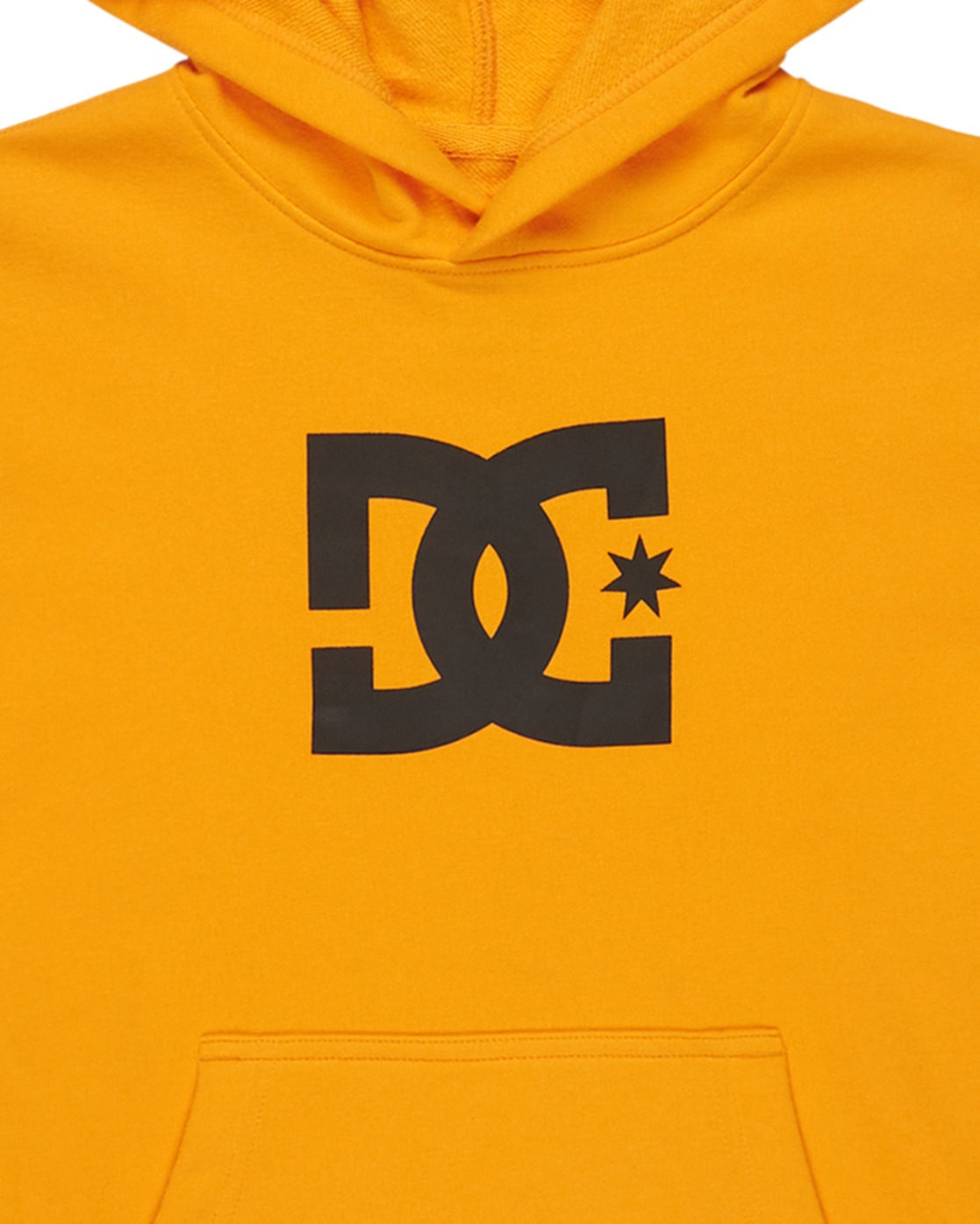 DC Shoes Kapuzensweatshirt »DC Star«
