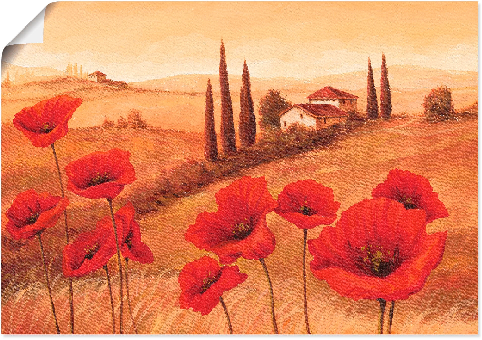 Artland Wandbild "Mohnblumen in der Toskana" Europa 1 Stk. tlg. als Leinwan günstig online kaufen