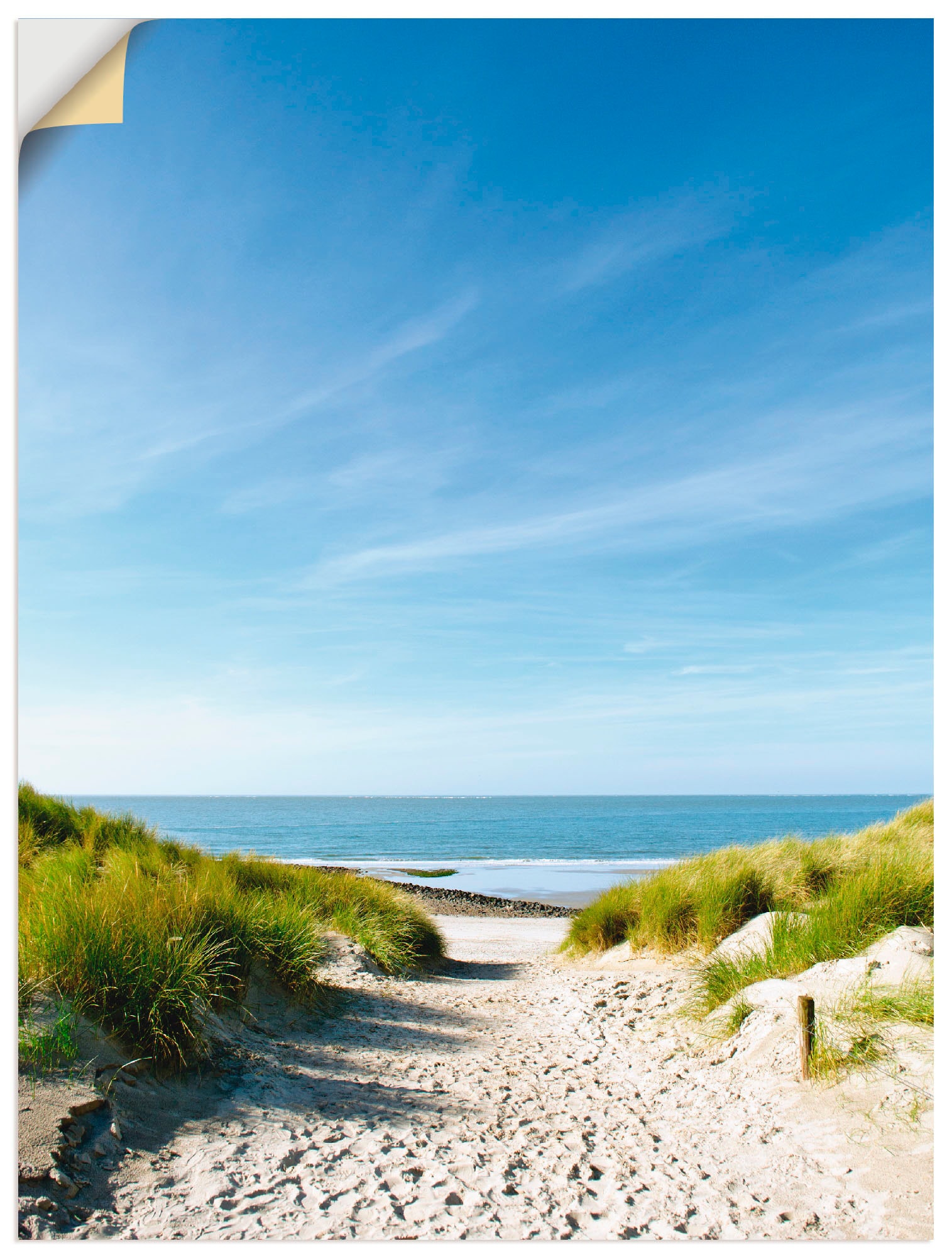 Artland Wandbild »Strand mit Sanddünen Wandaufkleber Weg Leinwandbild, See«, kaufen Größen Poster Strand, in Alubild, versch. oder (1 online und St.), zur als