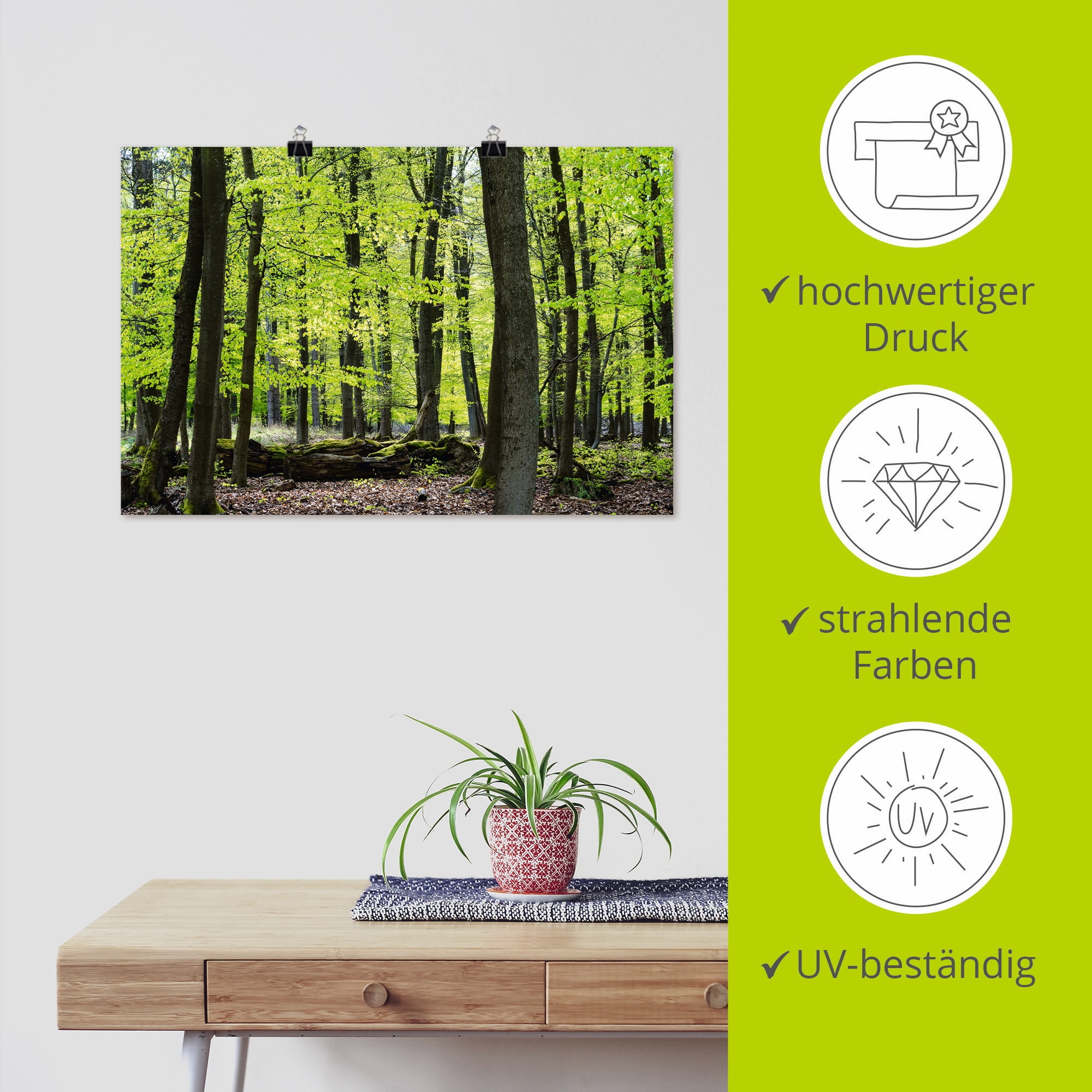 Artland Poster »Laubwald im Frühjahr«, Wald, (1 St.), als Alubild, Leinwandbild, Wandaufkleber oder Poster in versch. Größen