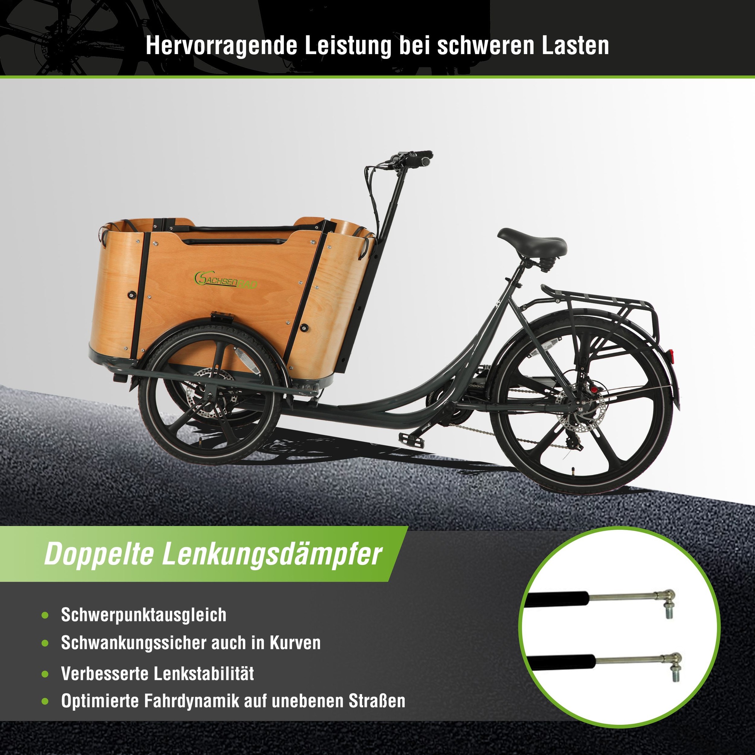 SachsenRad »SachsenRAD T2 Neo Vintage mit Abdeckung« 7 Gang Shimano Kettenschaltung Heckmotor 250 W