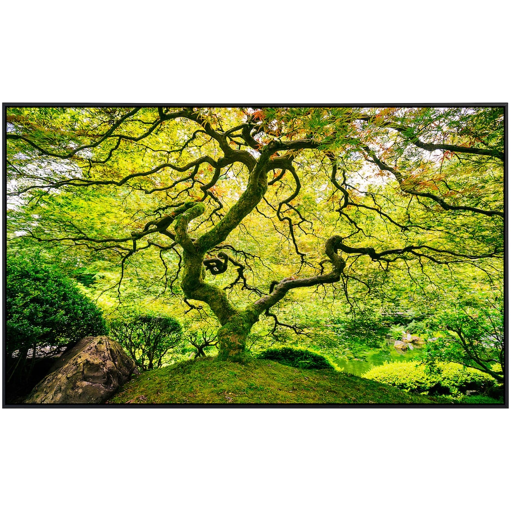Papermoon Infrarotheizung »Japanischer Ahornbaum«