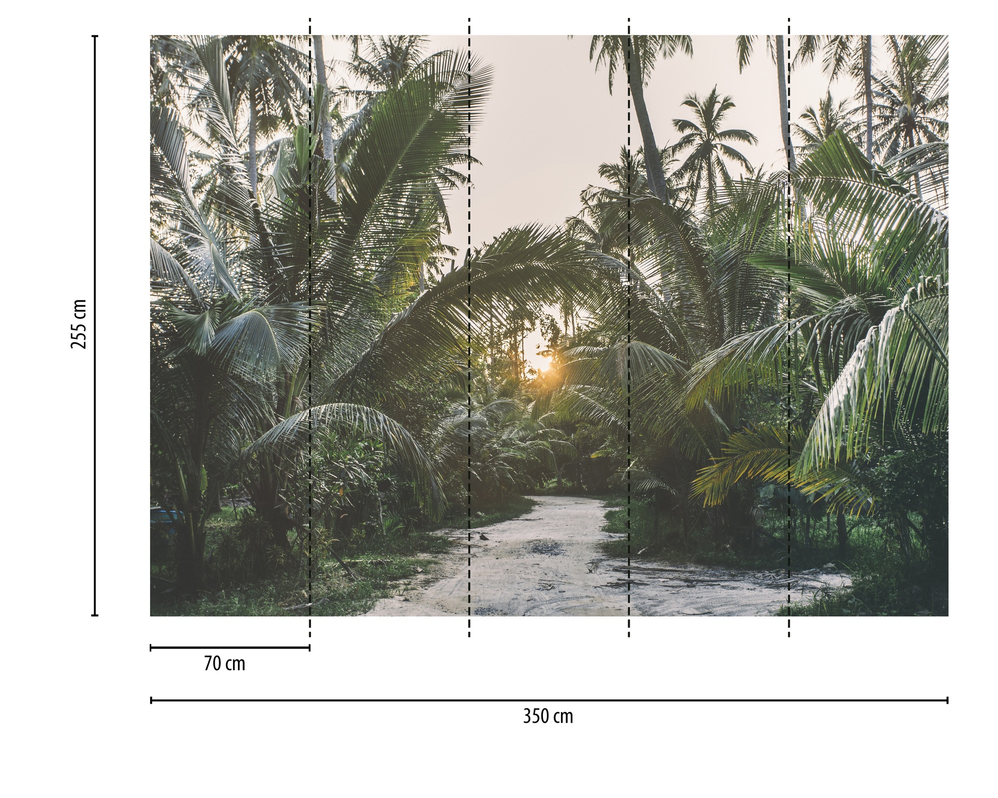A.S. Création Vliestapete »Fototapete Tropischer Dschungelweg Grün Palmen« matt strukturiert