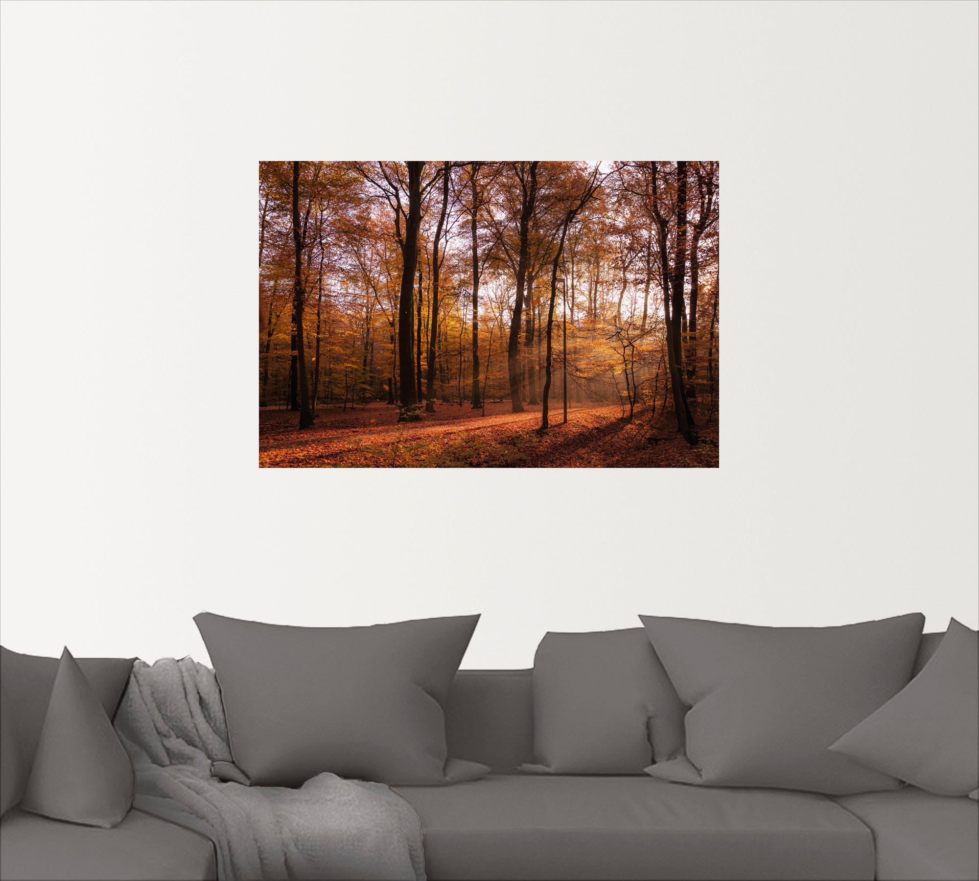 Artland Wandbild »Sonnenaufgang im Herbst II«, Wald, (1 St.), als Alubild, günstig online kaufen