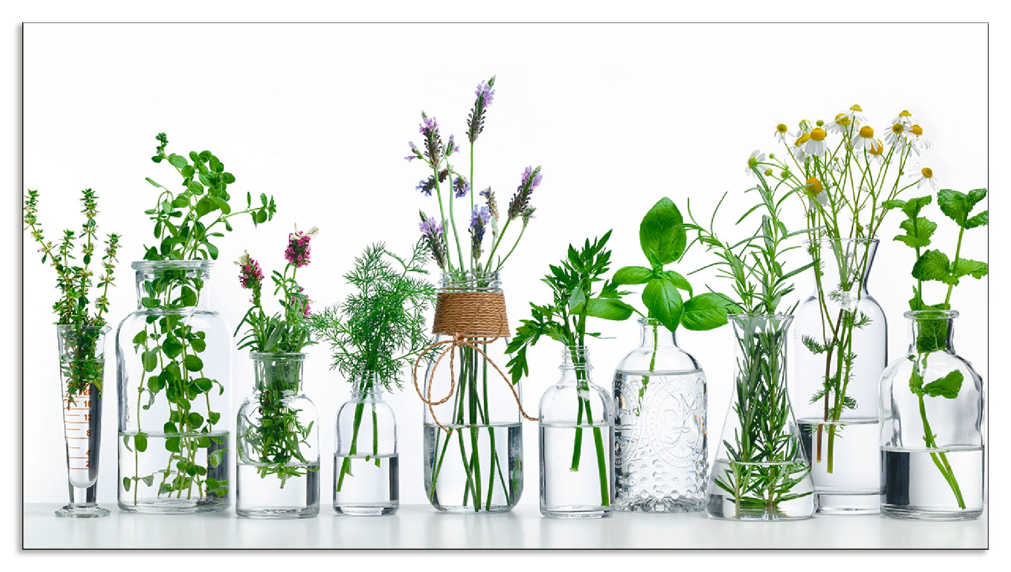 Artland Küchenrückwand "Öle mit Kräutern", (1 tlg.), Alu Spritzschutz mit K günstig online kaufen