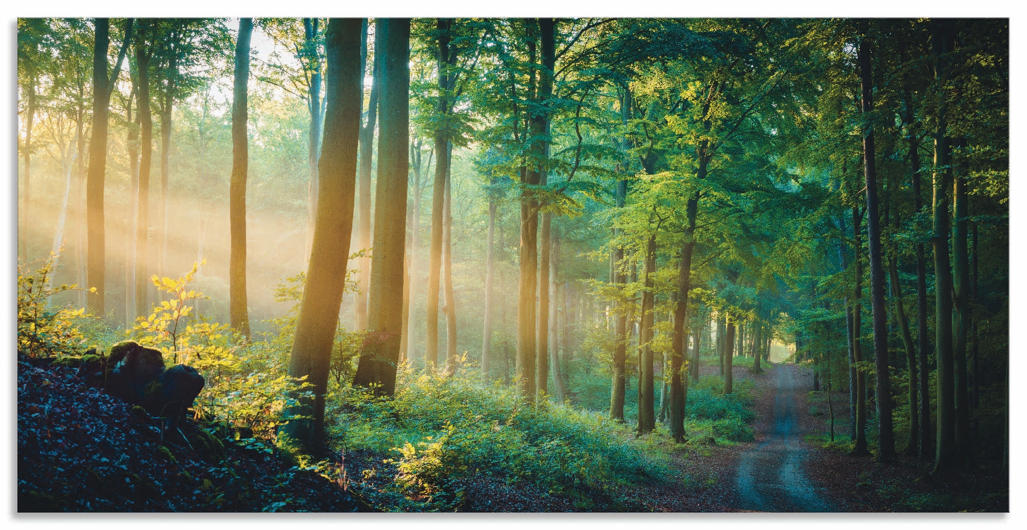 Artland Wandbild »Herbstmorgen im Wald« Waldbilder 1 Stk. tlg. als Alubild, günstig online kaufen