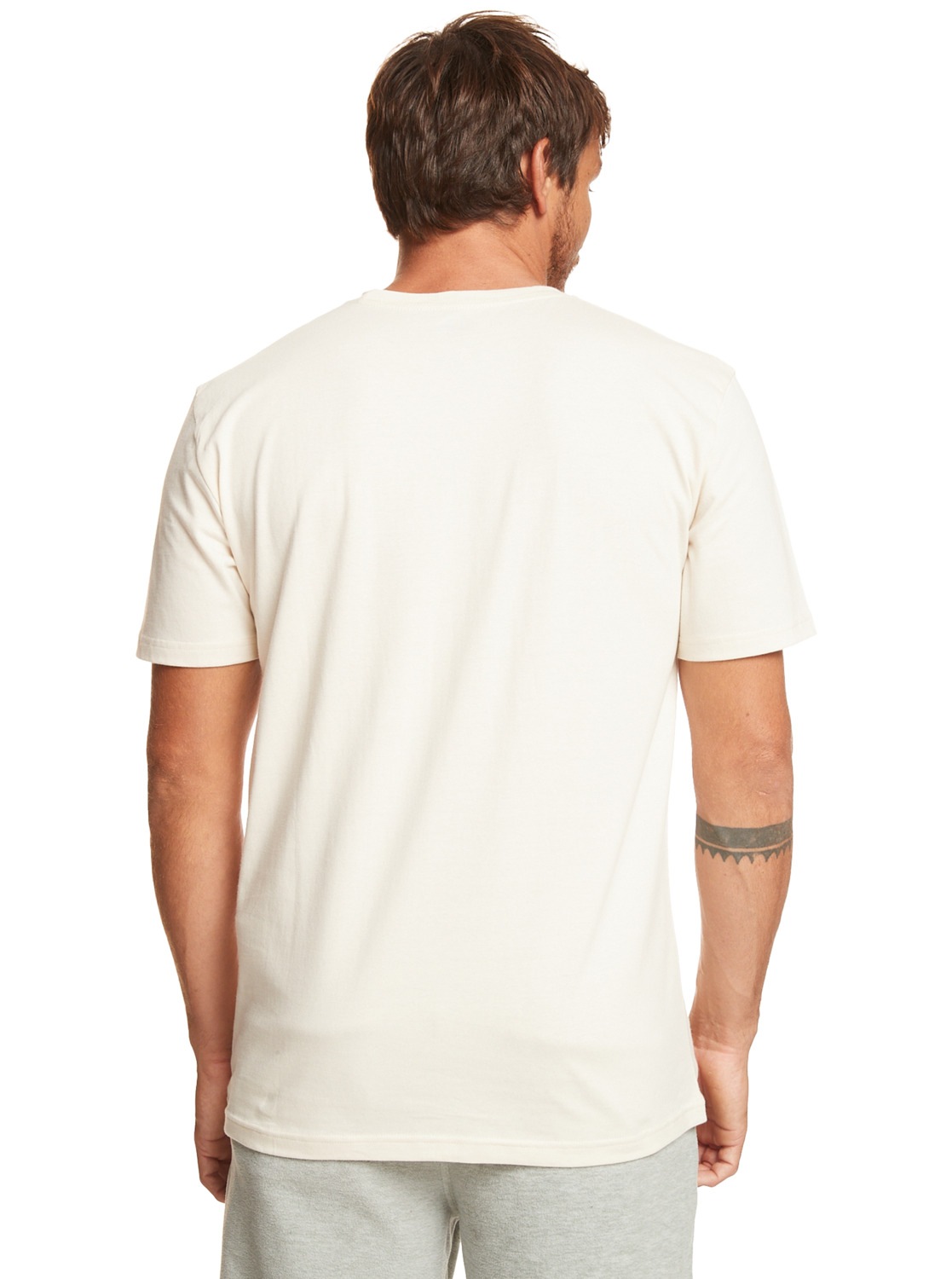 Quiksilver T-Shirt »Qs Mountain Trip«