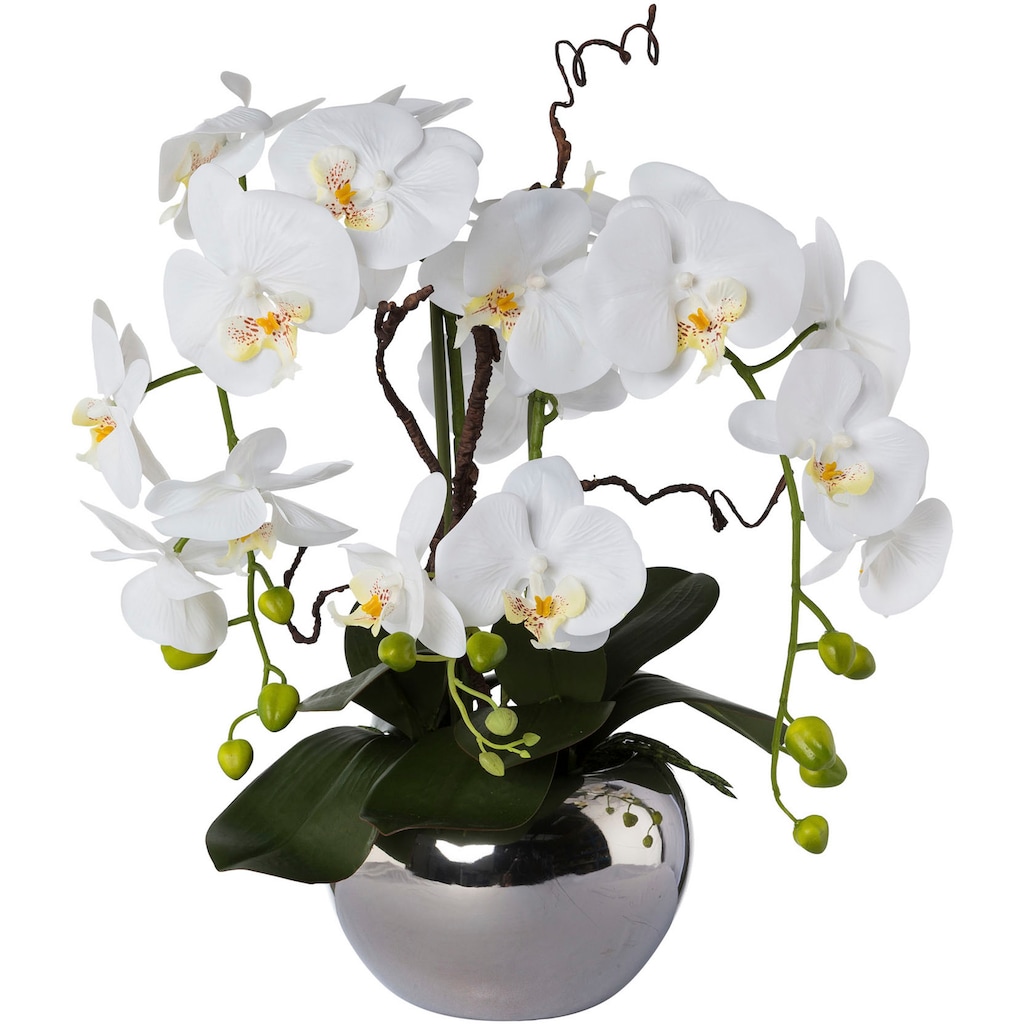 Creativ green Kunstorchidee »Phalaenopsis«