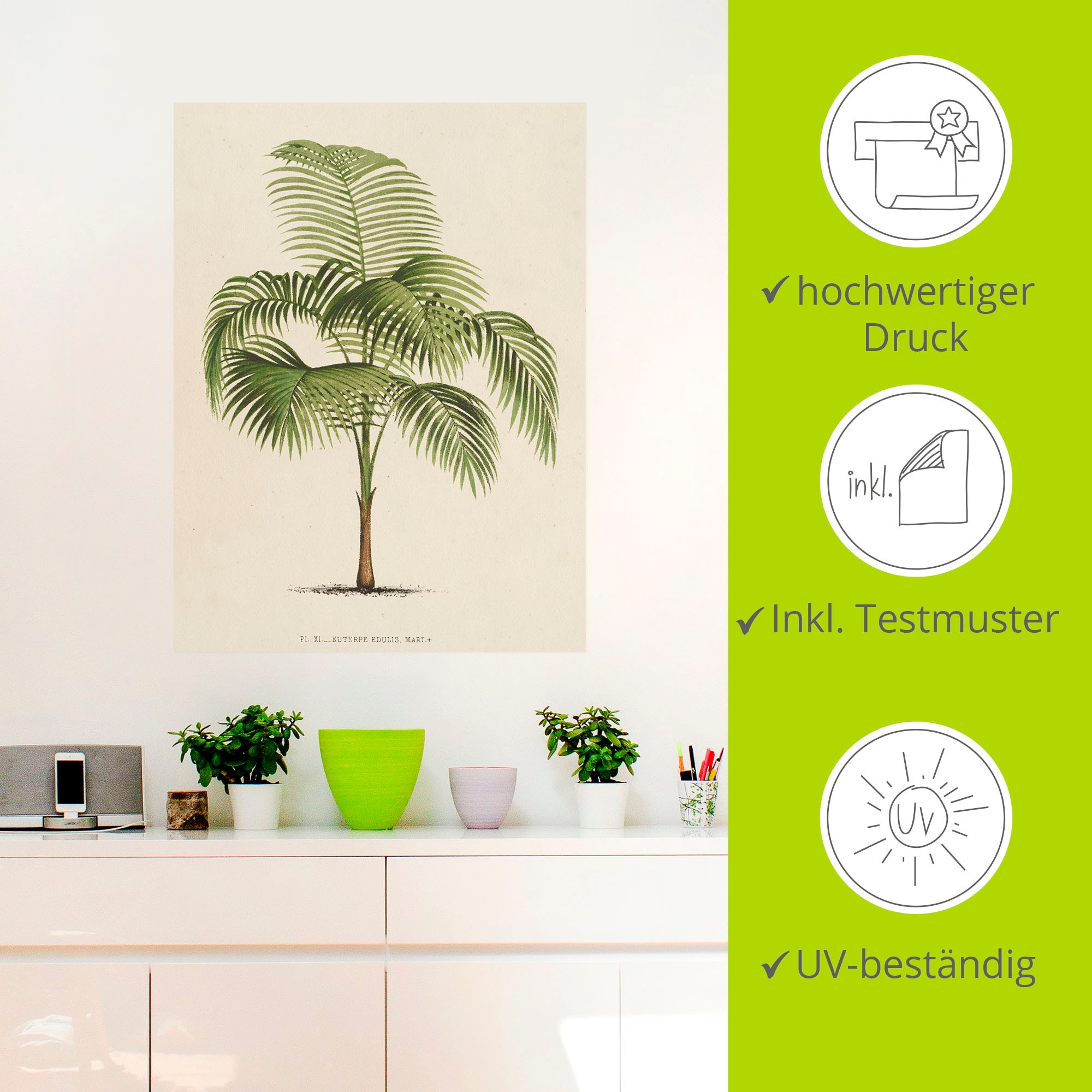 Artland Wandfolie »Palme I«, Pflanzen, (1 St.), selbstklebend