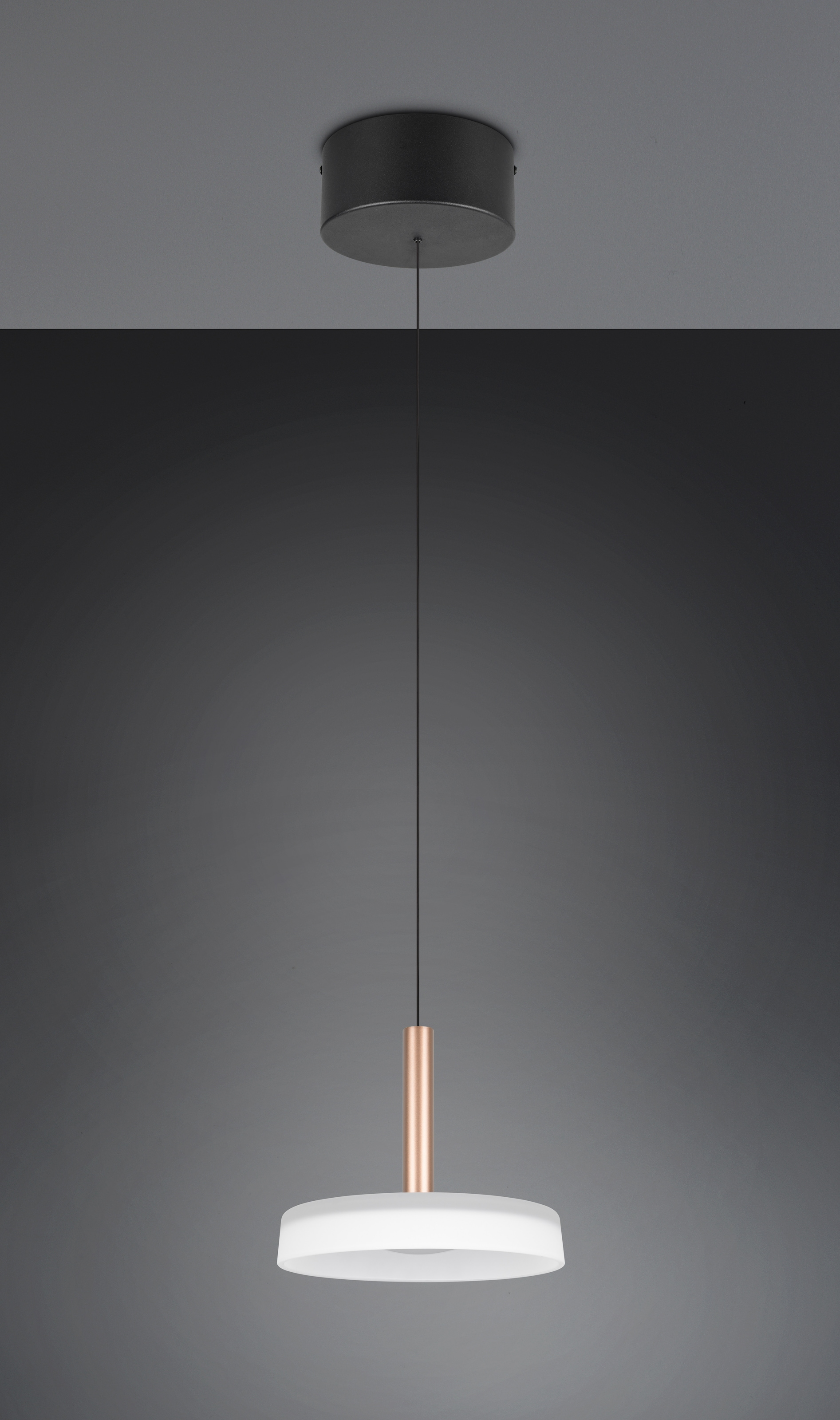 TRIO Leuchten LED Pendelleuchte »CELESTE dimmbare LED Hängelampe aus Metall und Glas, 10W 1100 Lumen«, 1 flammig, Leuchtmittel LED-Board | LED fest integriert, einfach höhenverstellbar von 50-200 cm, Ø 22cm, 3-Stufen Dimmfunktion